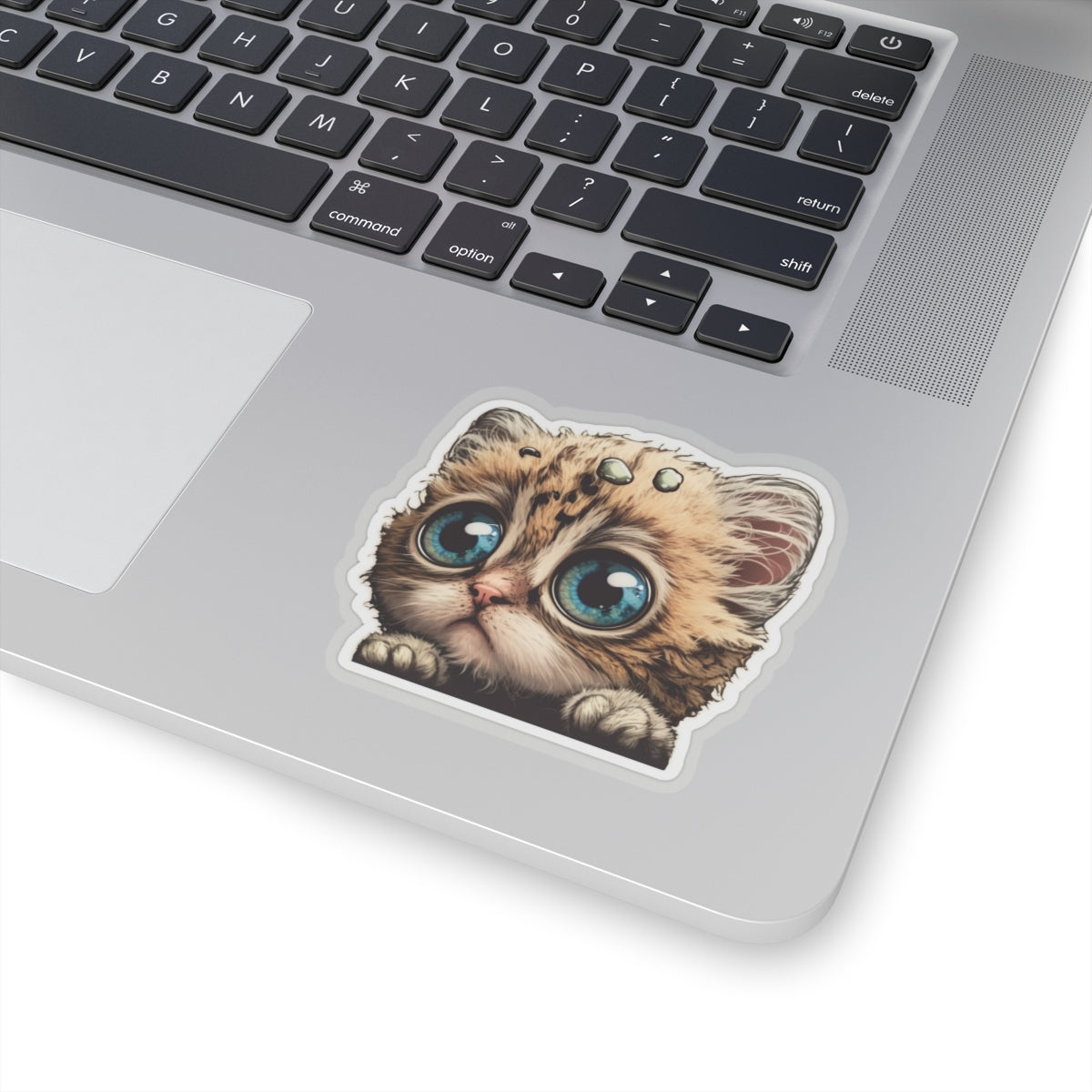 Kiss-Cut Sticker of cute funny cat kitten for your collection
