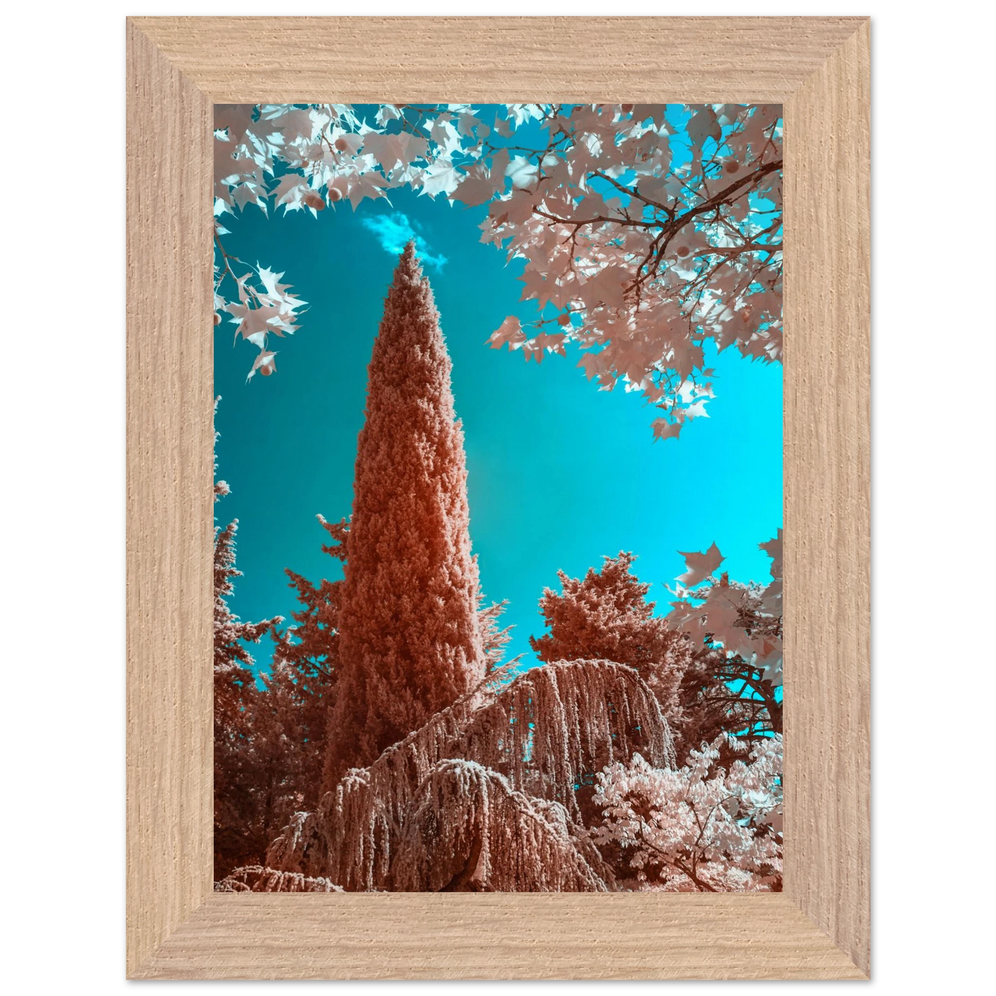 94918f9d-25c3-42f8-b2e1-24b9b0866096