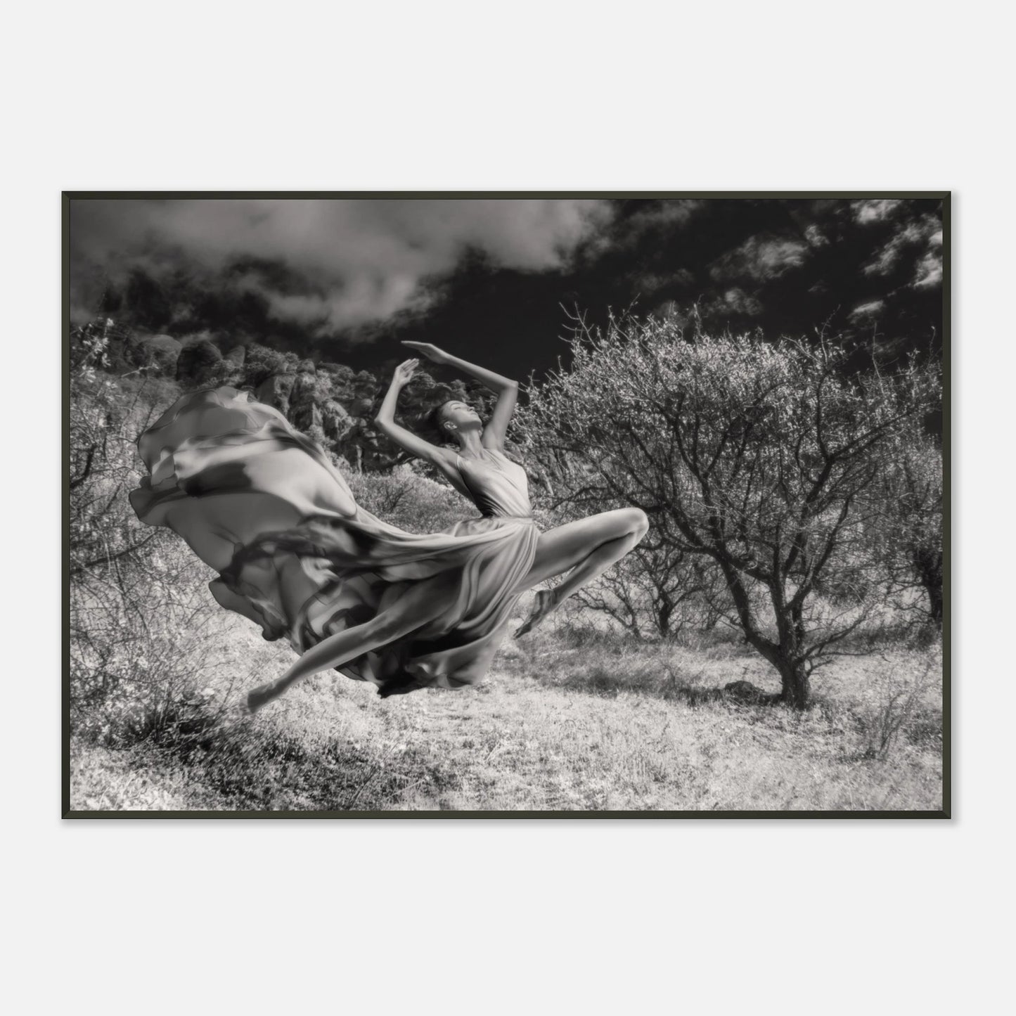 95fba86b-d281-4a4c-b974-15088a0a3f22