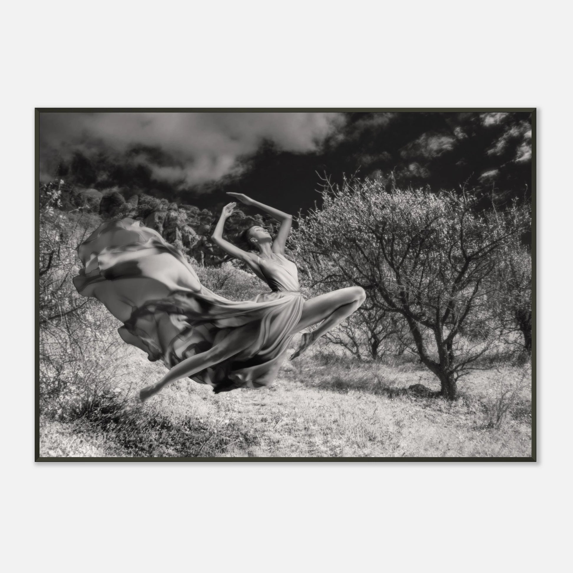 95fba86b-d281-4a4c-b974-15088a0a3f22