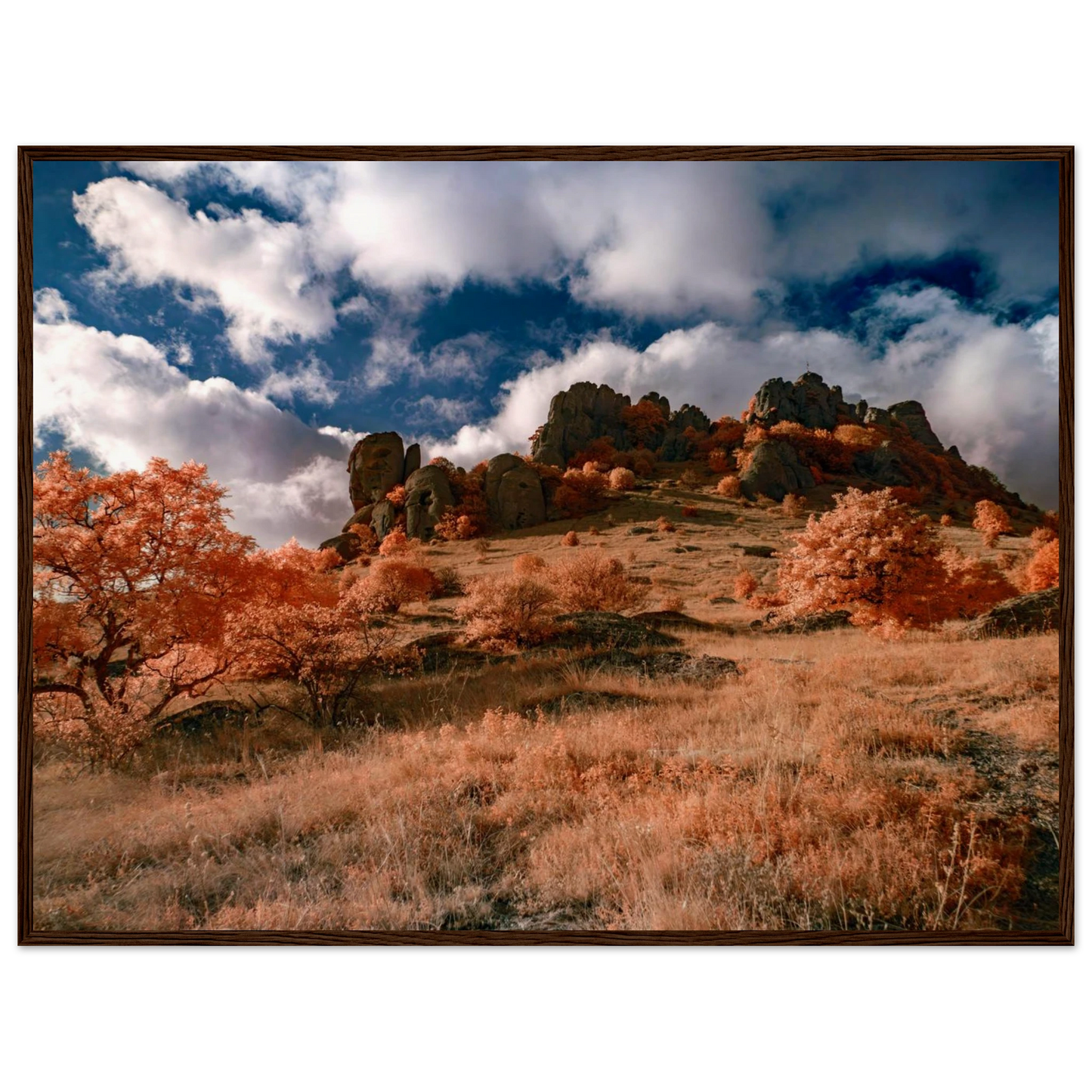 96248a86-ea6e-4511-9aa1-ddd53729b48f