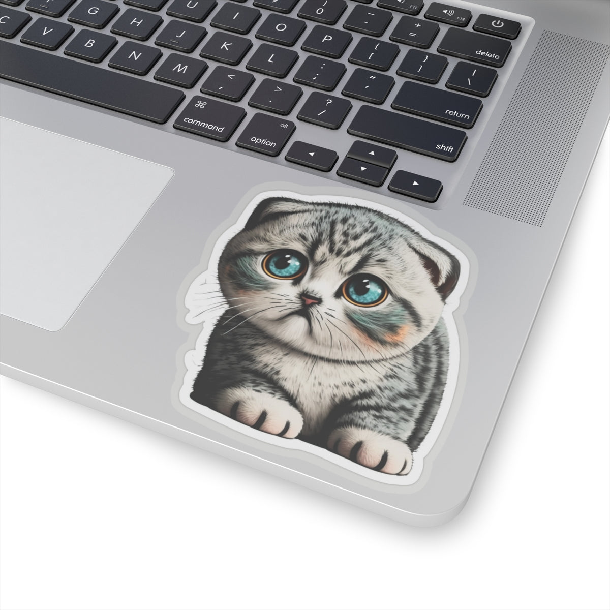 Kiss-Cut Sticker of cute funny cat kitten  for your collection