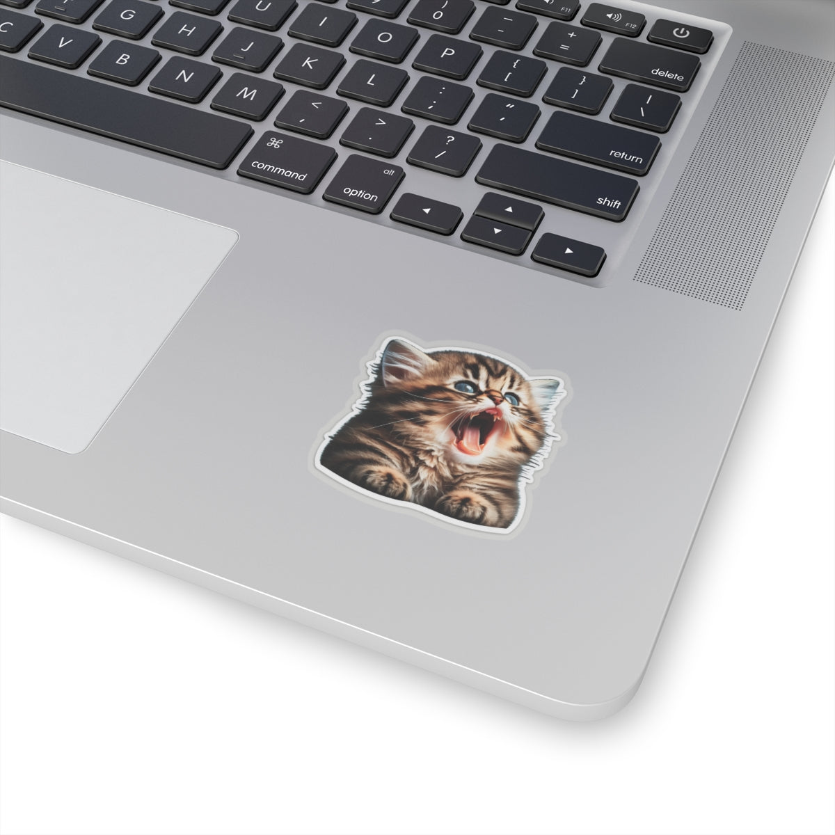 Kiss-Cut Sticker of cute funny golden chinchilla cat kitten for your collection