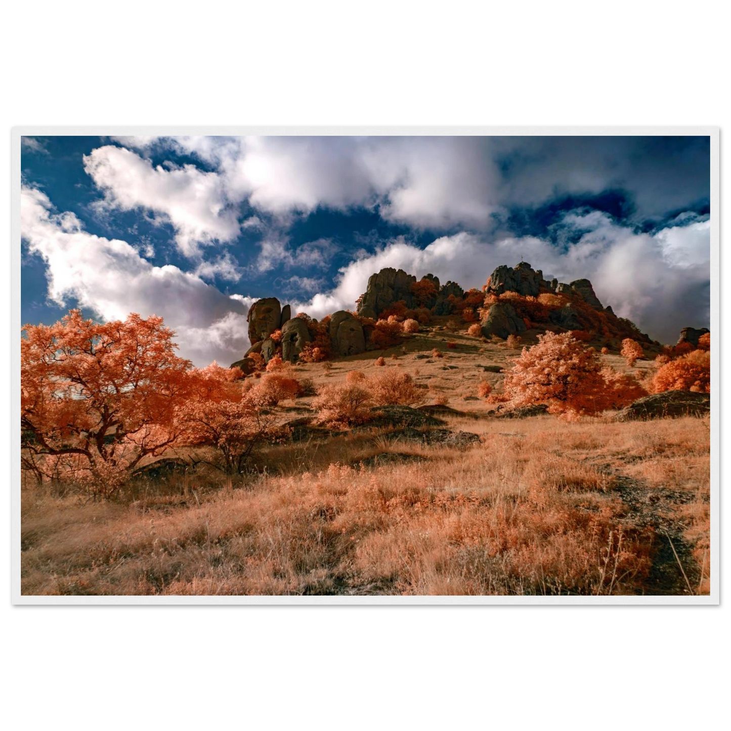 9799e79e-3c9d-4cd4-a7e6-b183388a7fc2