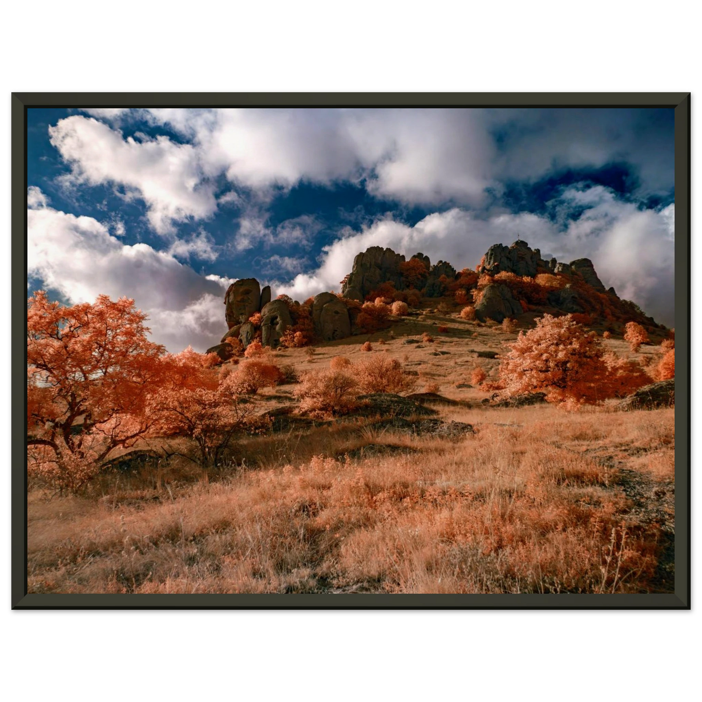 98444260-48c2-499a-b245-748bed48c126