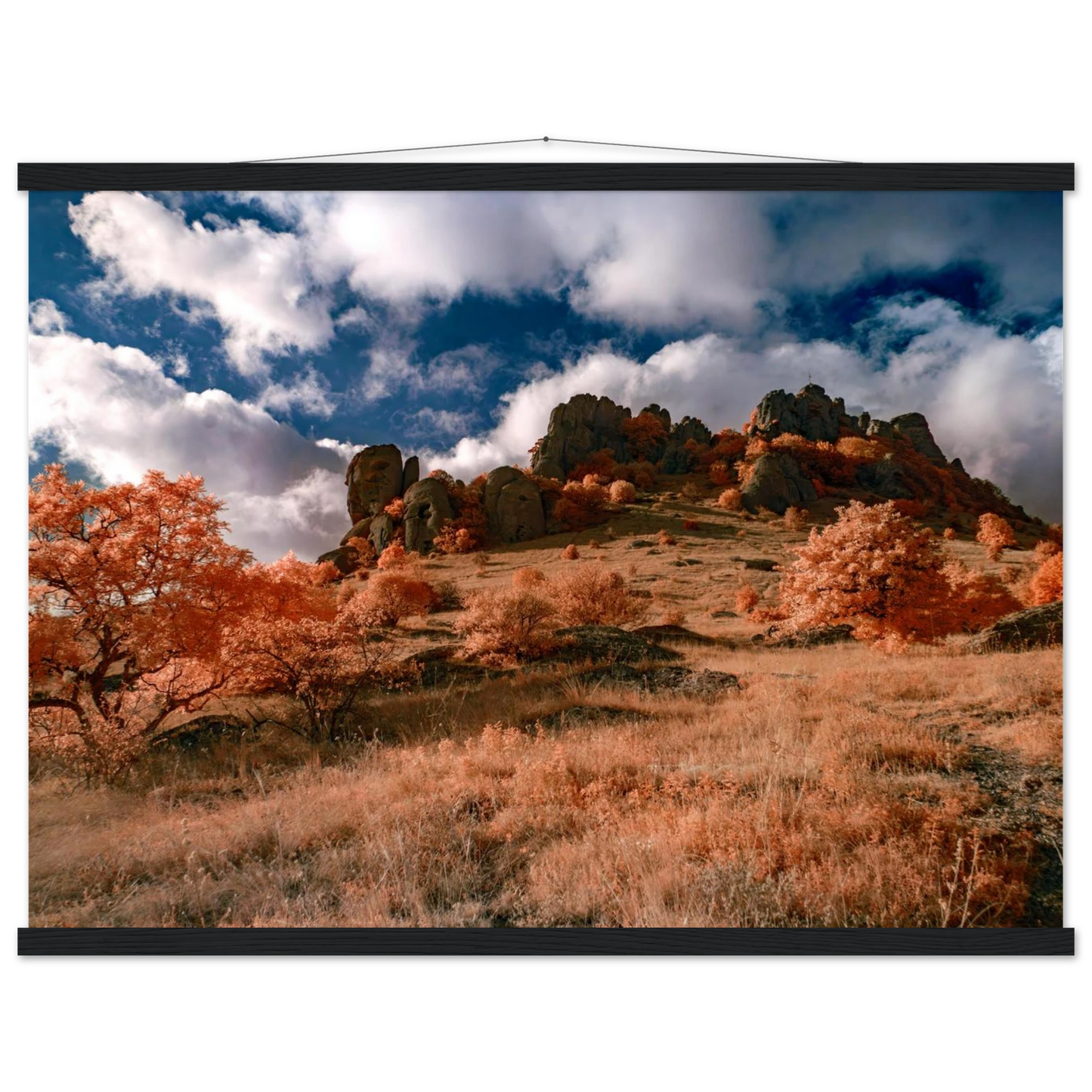 98d0d3dd-c9b8-40b5-9e39-0b6c84164501