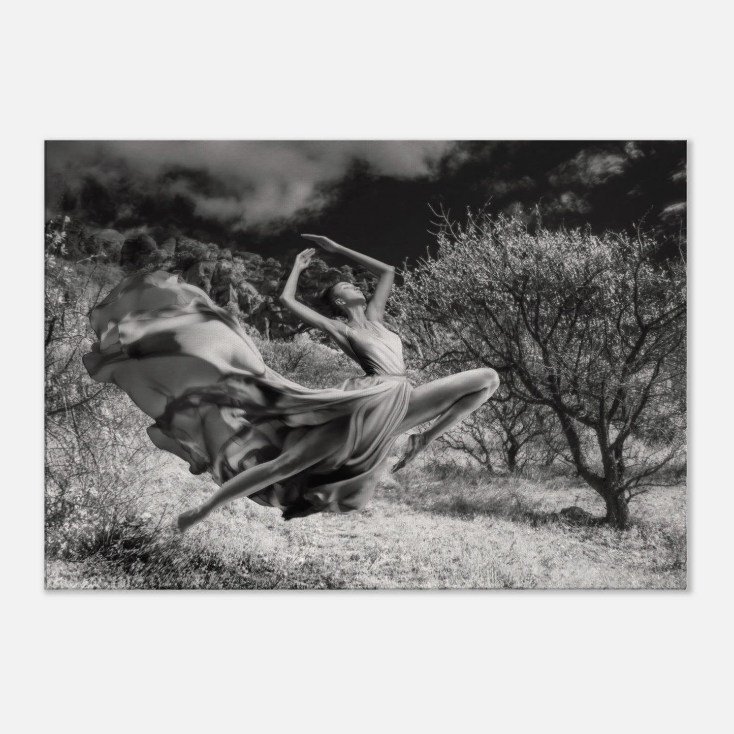 99a56d86-8c7e-4f87-a2cd-1a9929a27455