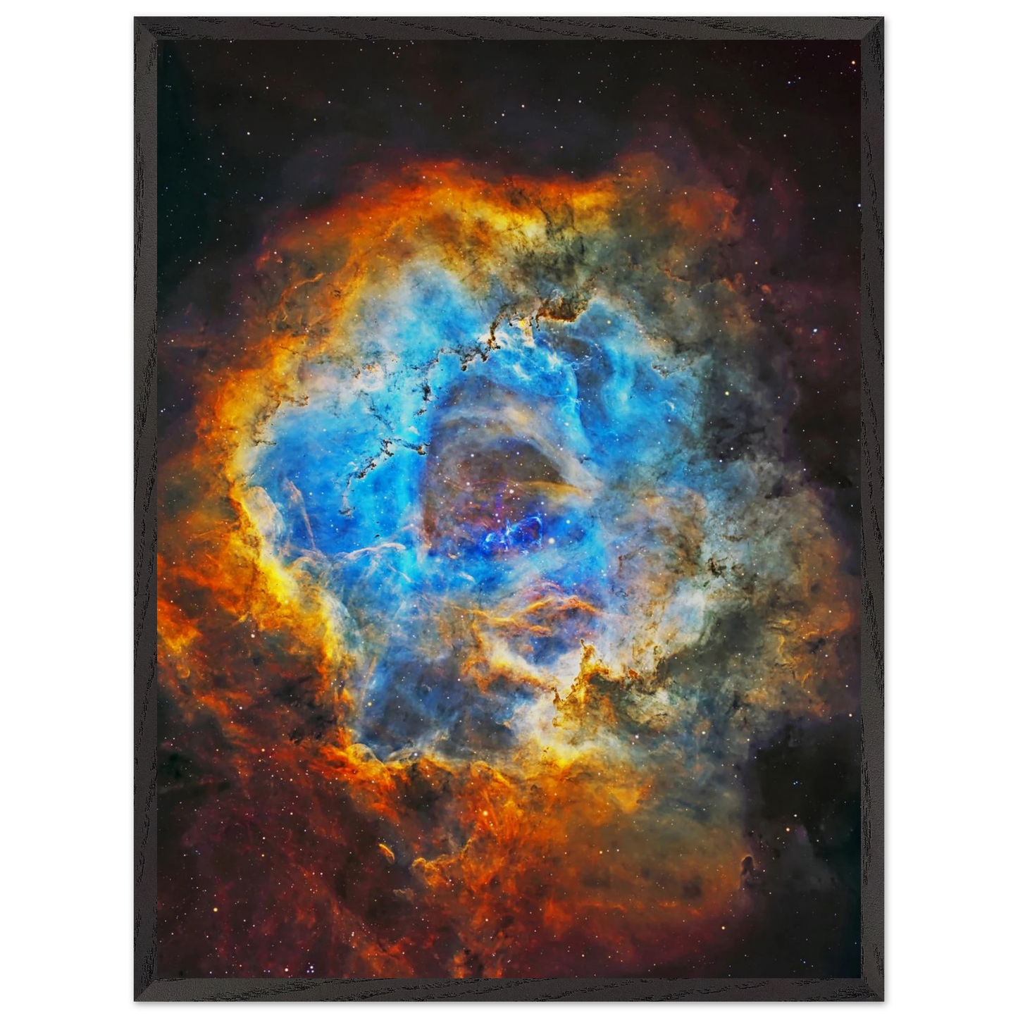 9a494892-4806-47f9-990e-813f4a9c375a