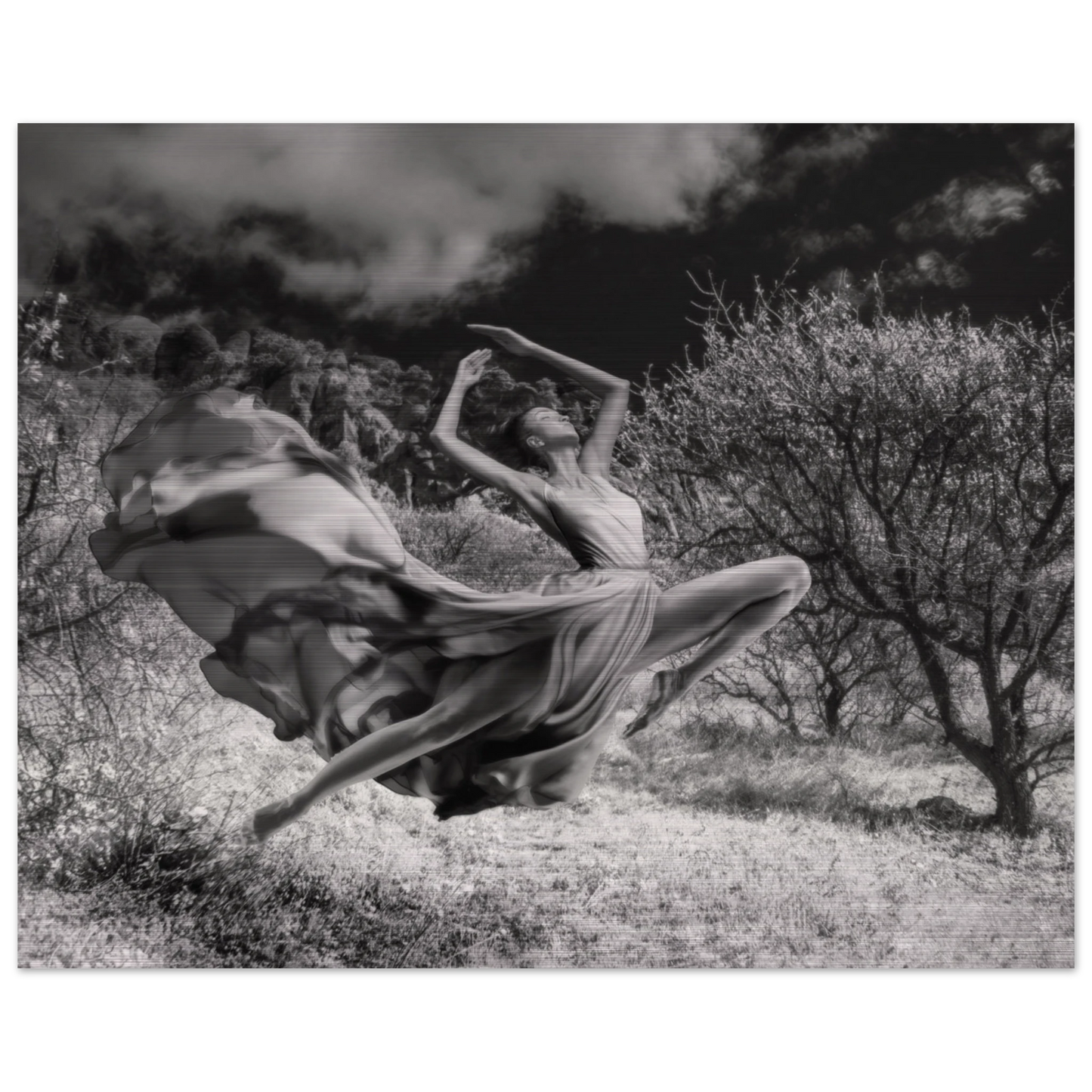 9b5830ea-b873-4516-a5cd-d3f91161163c