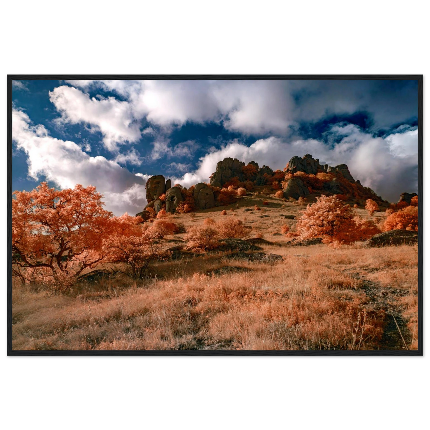 9c2ac41e-160b-484b-b91e-7656b11f9f98