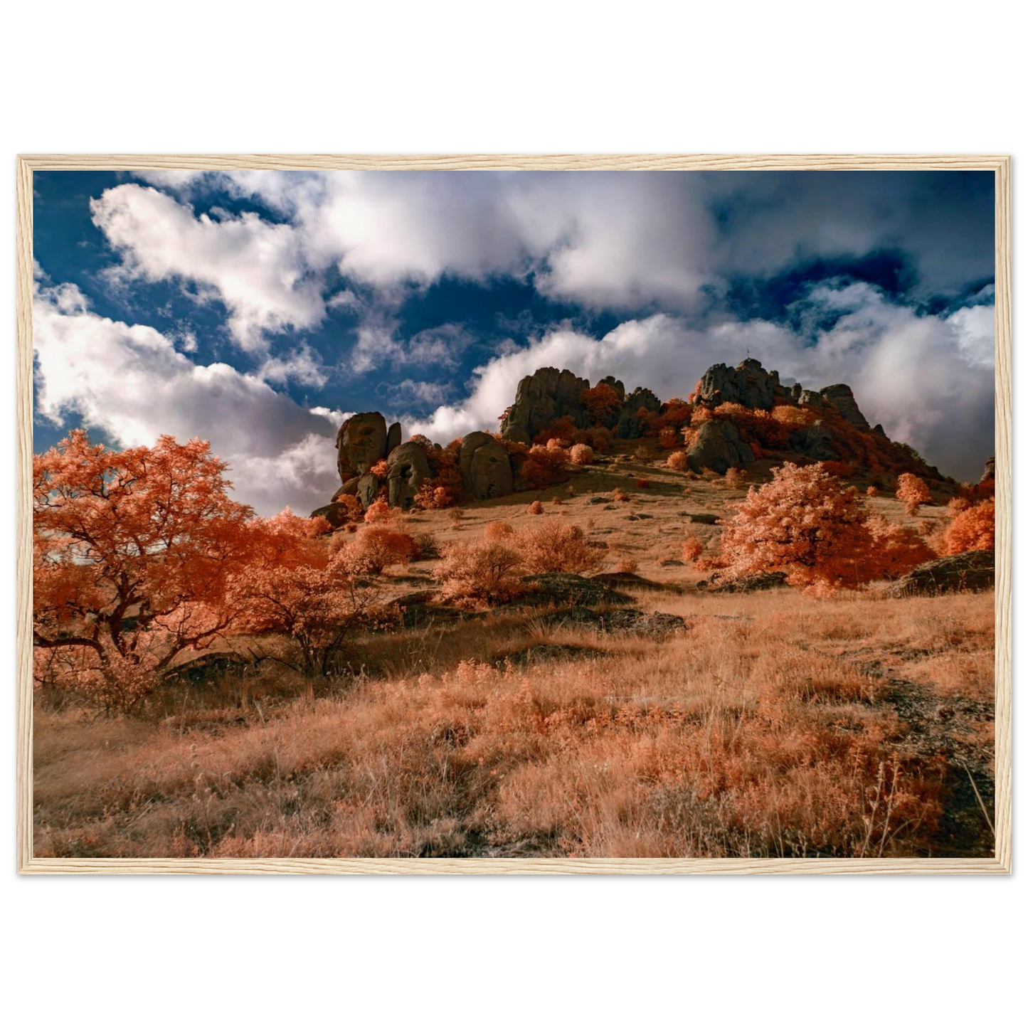 9ea1b56b-0835-4450-9765-146dffdeeb47