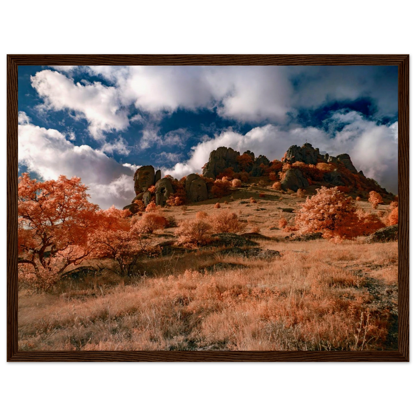 9f0416da-2048-4bd5-a89c-06188ba4db51