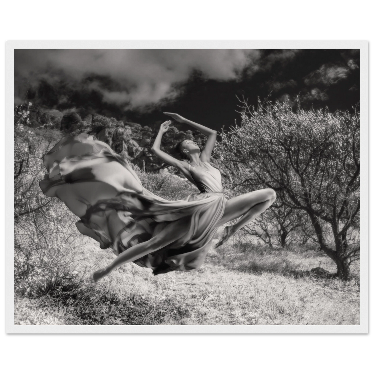 9f4e2427-9eb6-4036-8cad-c24d2bf98b6e