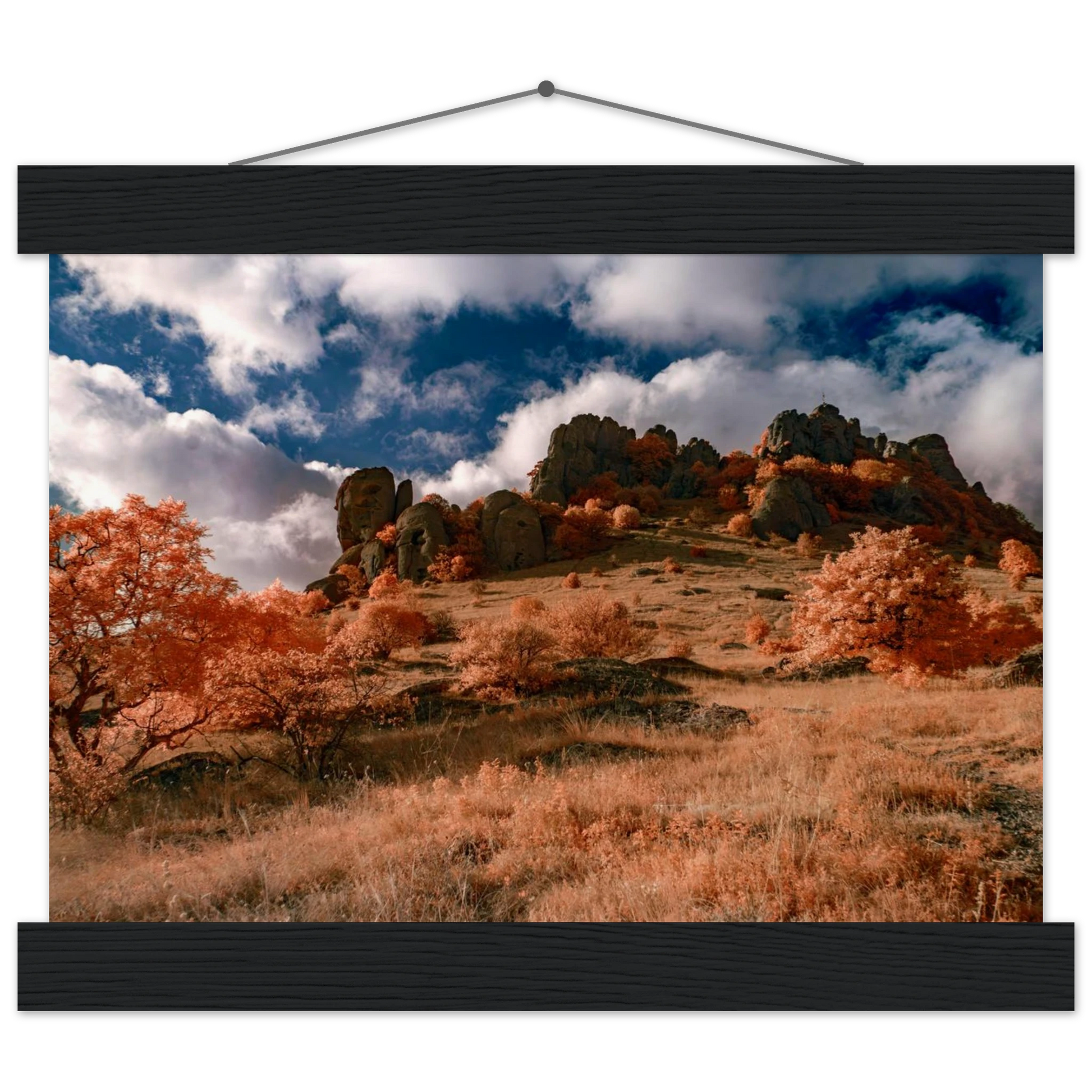 a16c6e5d-c3a1-4be8-a47d-8b3e58da6c50