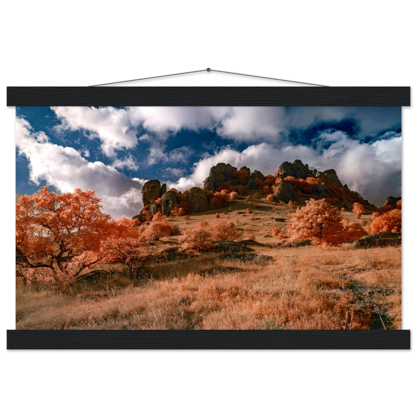 a30d6f78-da39-4bf4-adfc-4e76c61483d2