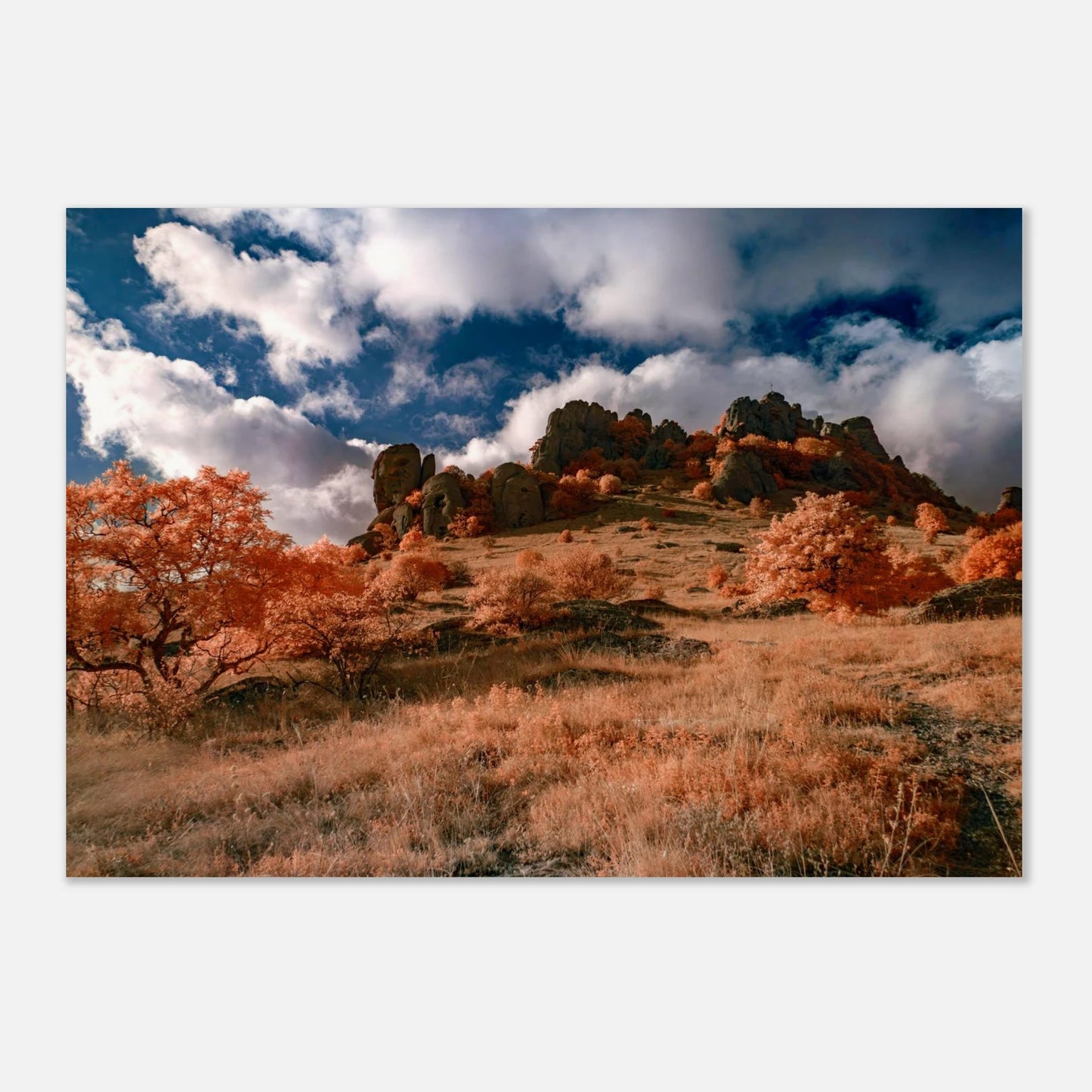 a63cb071-529b-4f3c-b466-fc94350e7b47