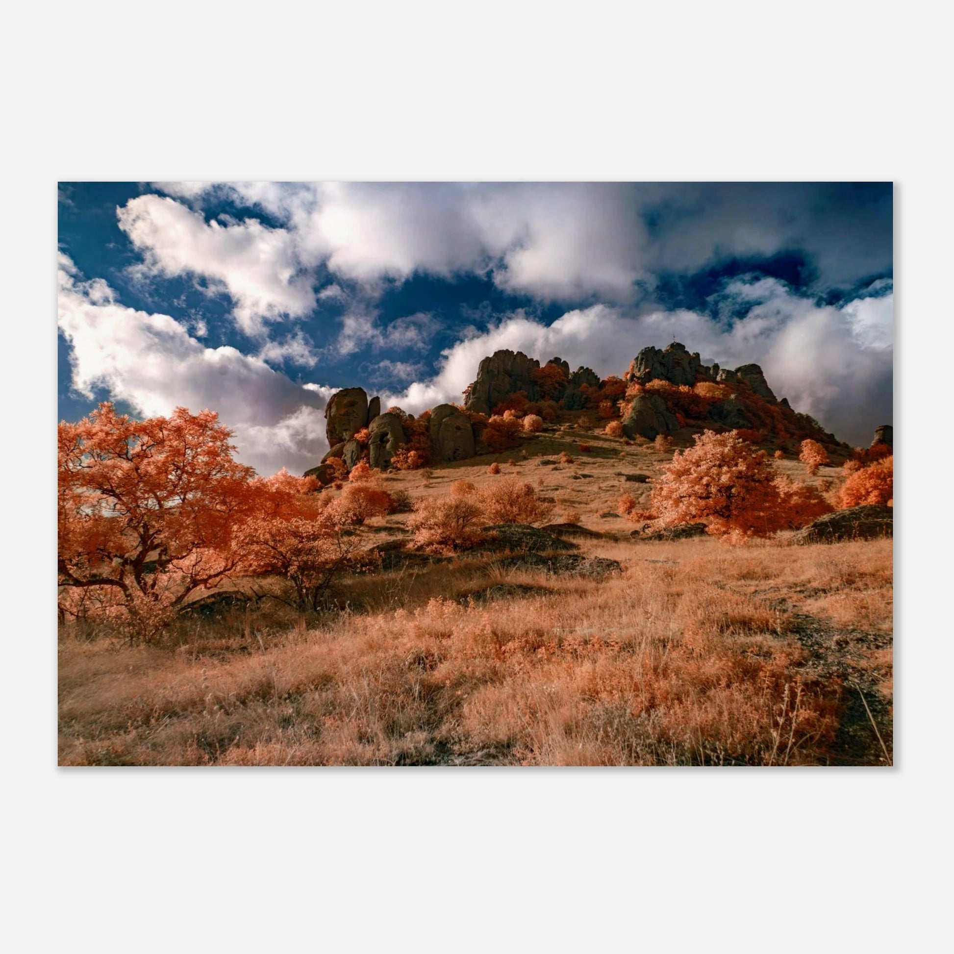 a63cb071-529b-4f3c-b466-fc94350e7b47