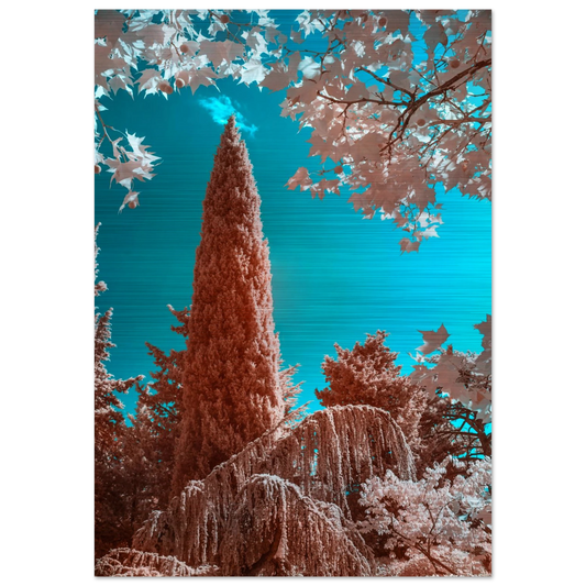 a6553b42-43da-4ccf-a6e4-1aadcc9dff75