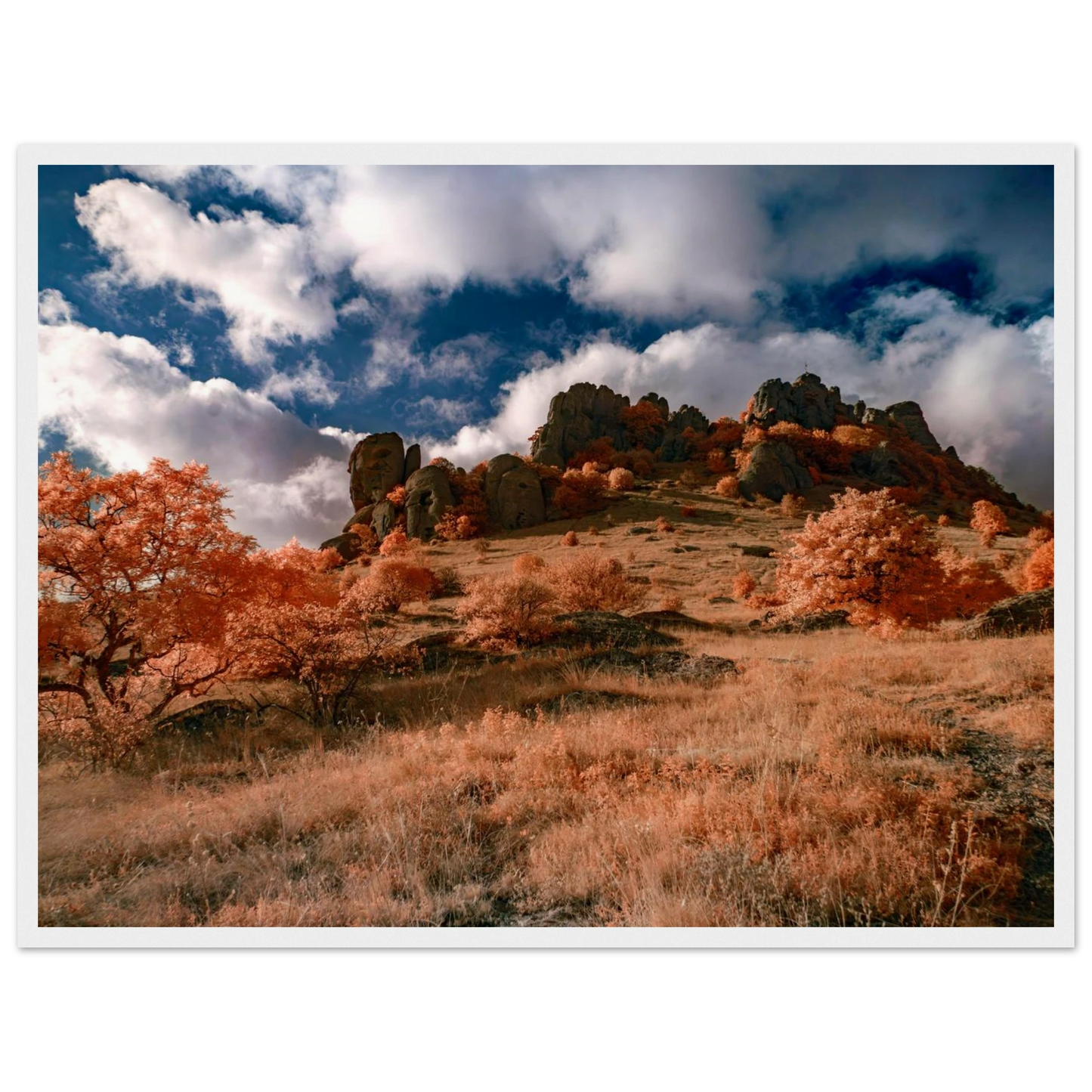 a6fc83a4-86c2-496e-88bf-5e7ae3154396