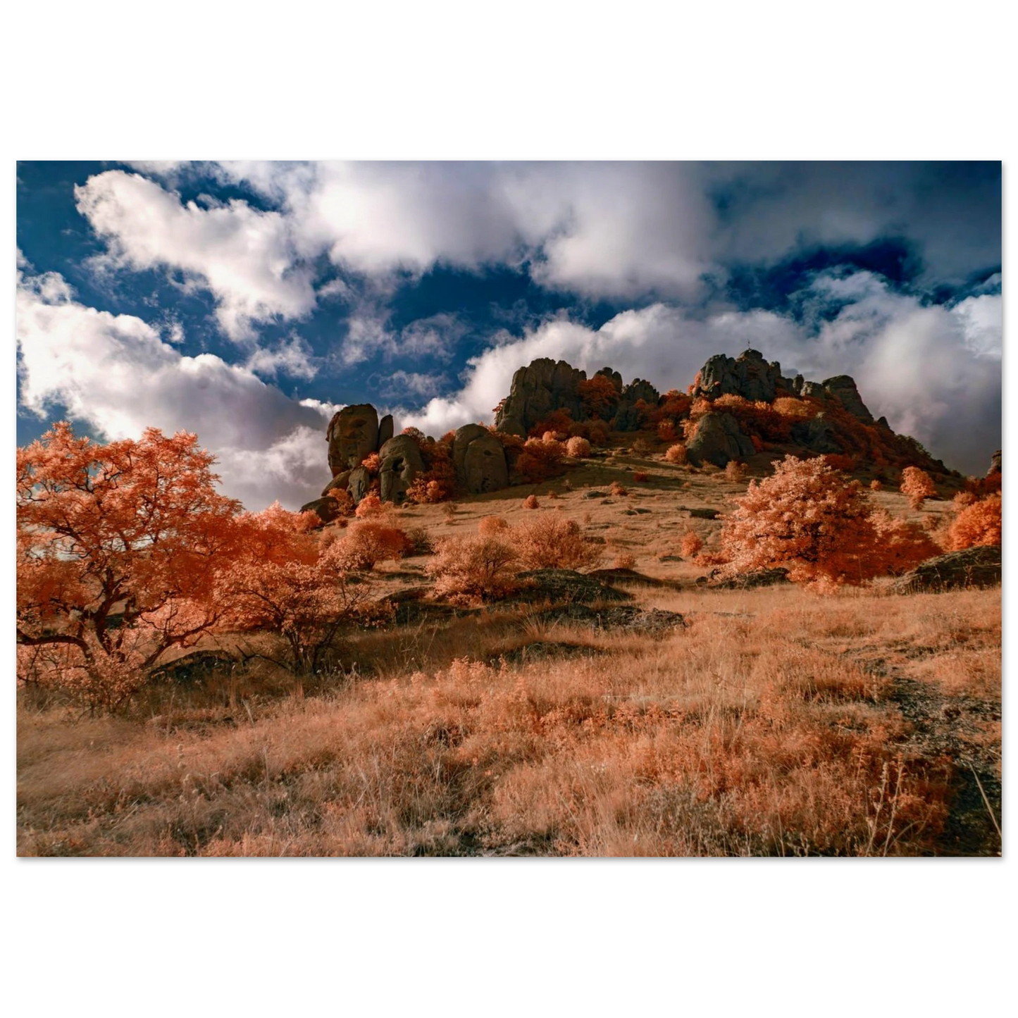 a85bd8f7-7ff2-4e33-9ee0-a02b4cbbf807