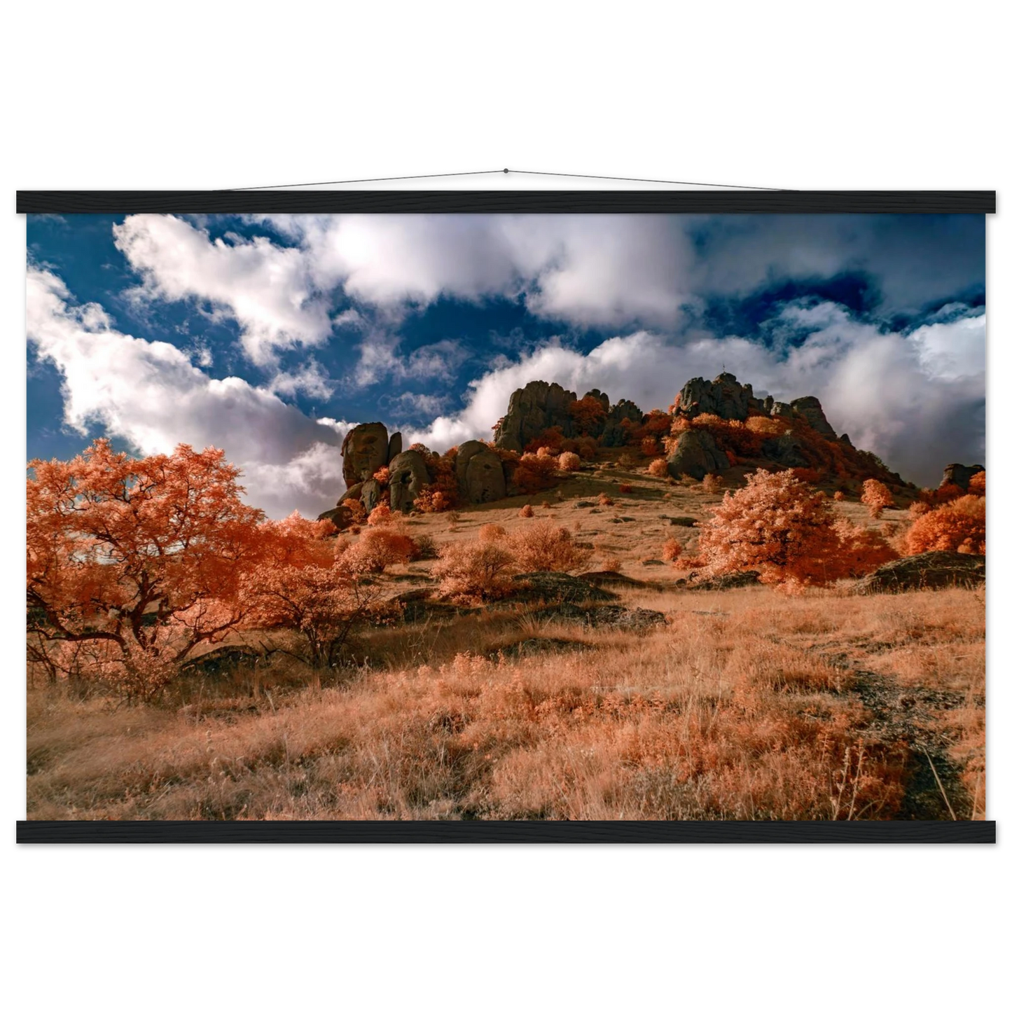 aa1a5fc2-3228-4e4a-a399-3ba6851a88e0