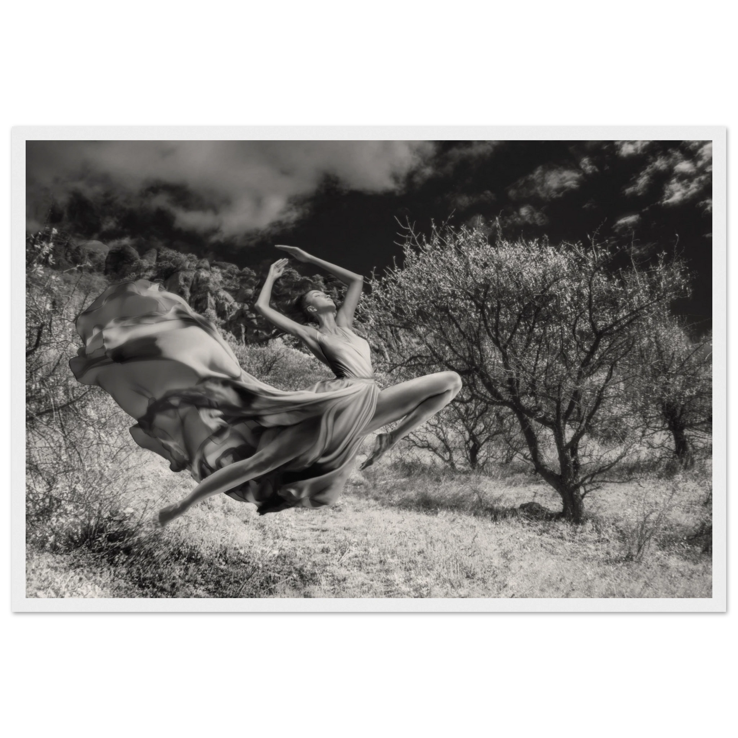 ac1ece11-90c0-475d-ad95-36c661803df7