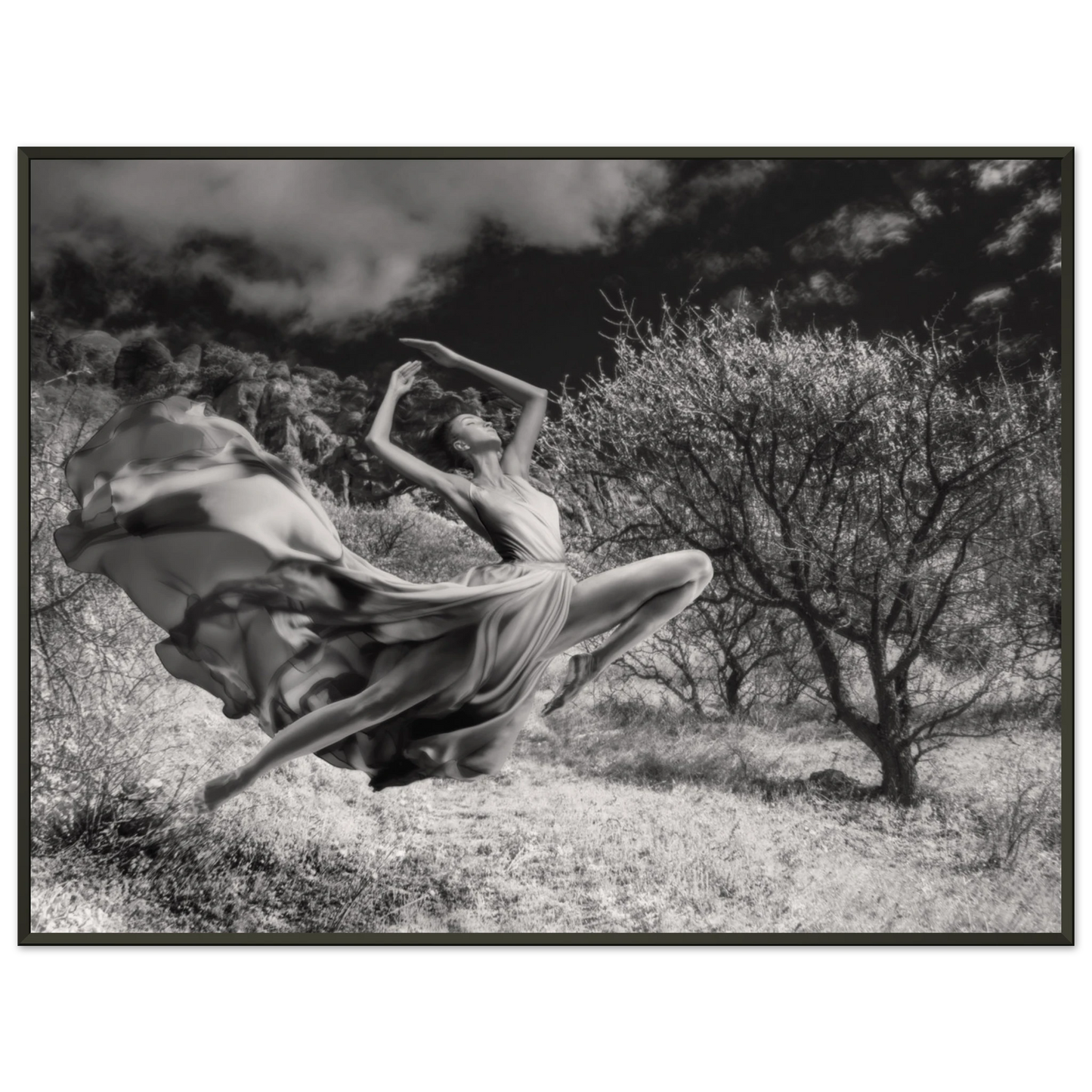 ad1e93f2-aa23-4328-869e-0781030507d1