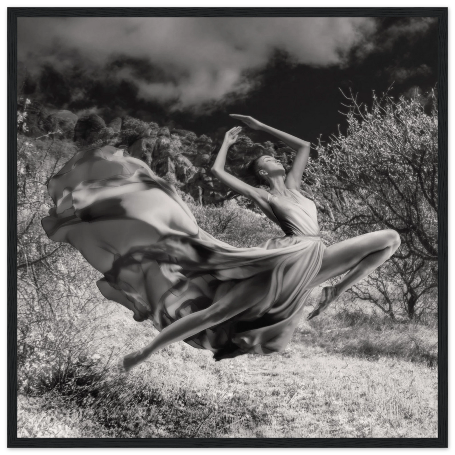 ad532bd5-9a4c-4272-bce2-5ced7b697cb6