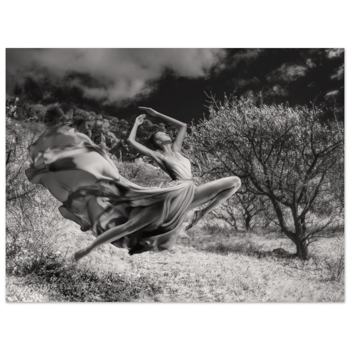 aefe383f-6b9f-4590-a515-116656a63a2c