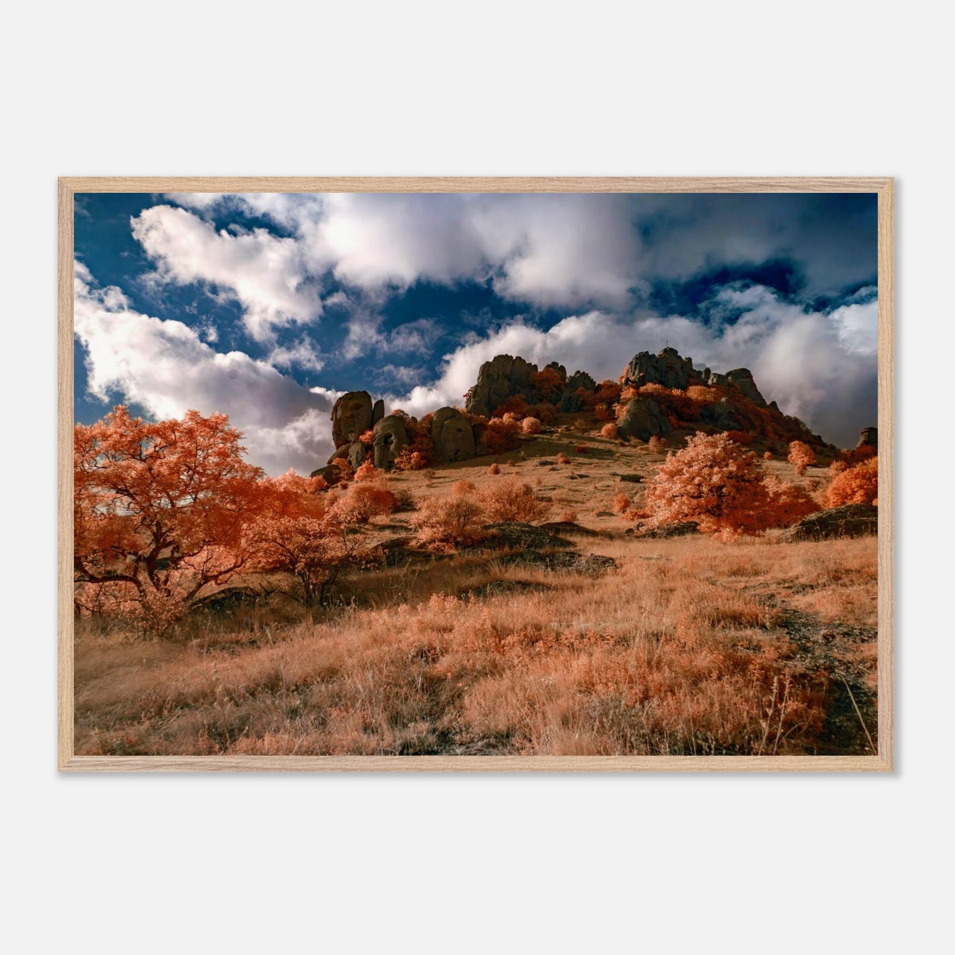 b0d0b3e3-e5b1-4f07-a399-43e36b2f2057