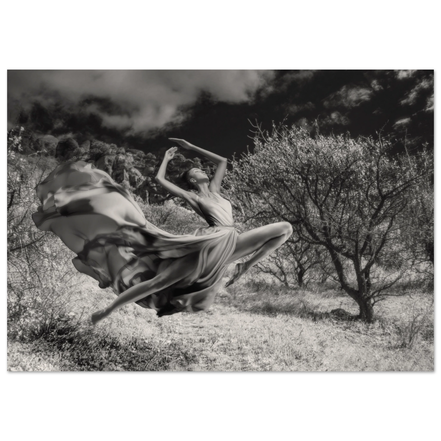 b303124b-1f7b-4481-bf03-3bf92e79fe1d