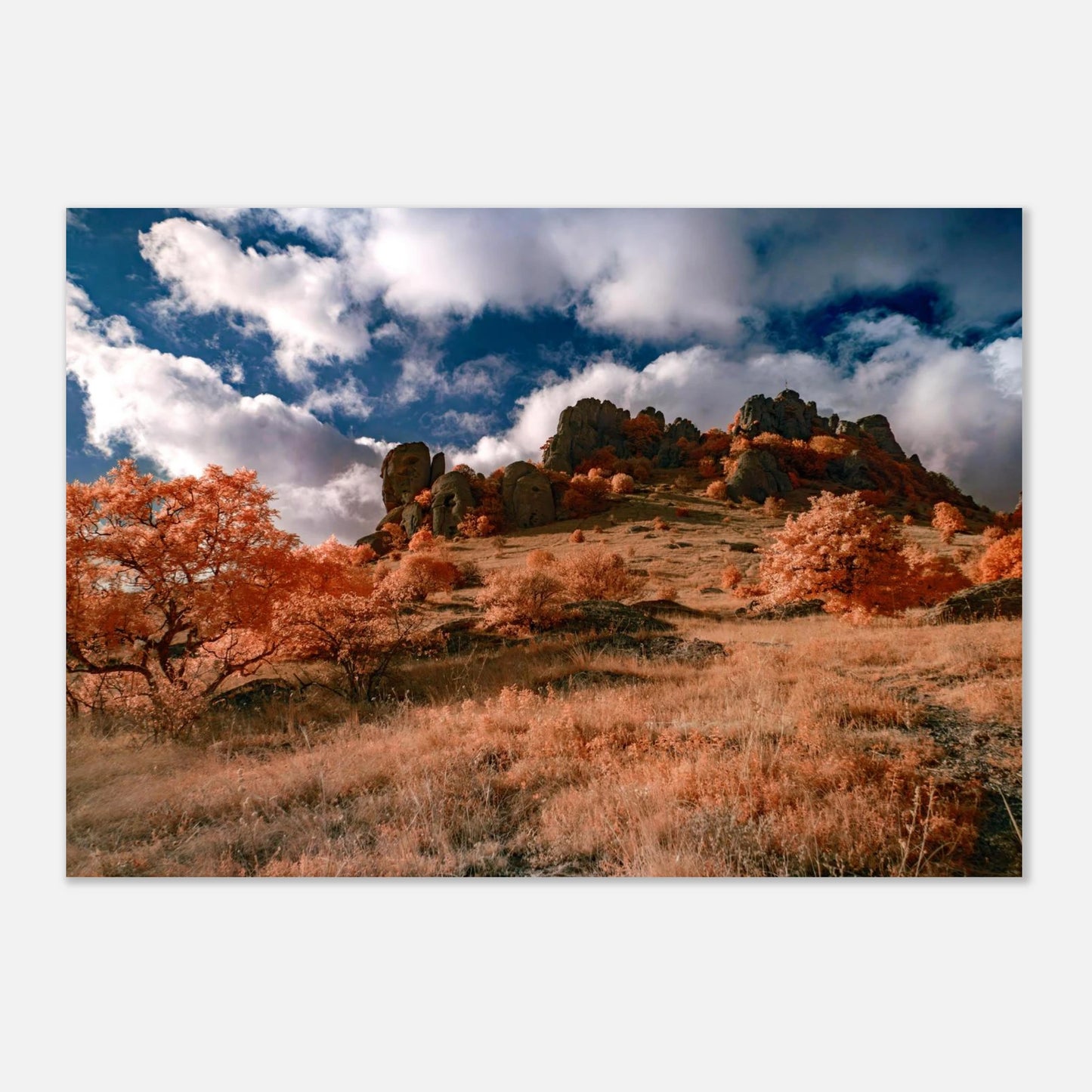 b3d83eb4-f54e-40e3-a1e1-89607066c813