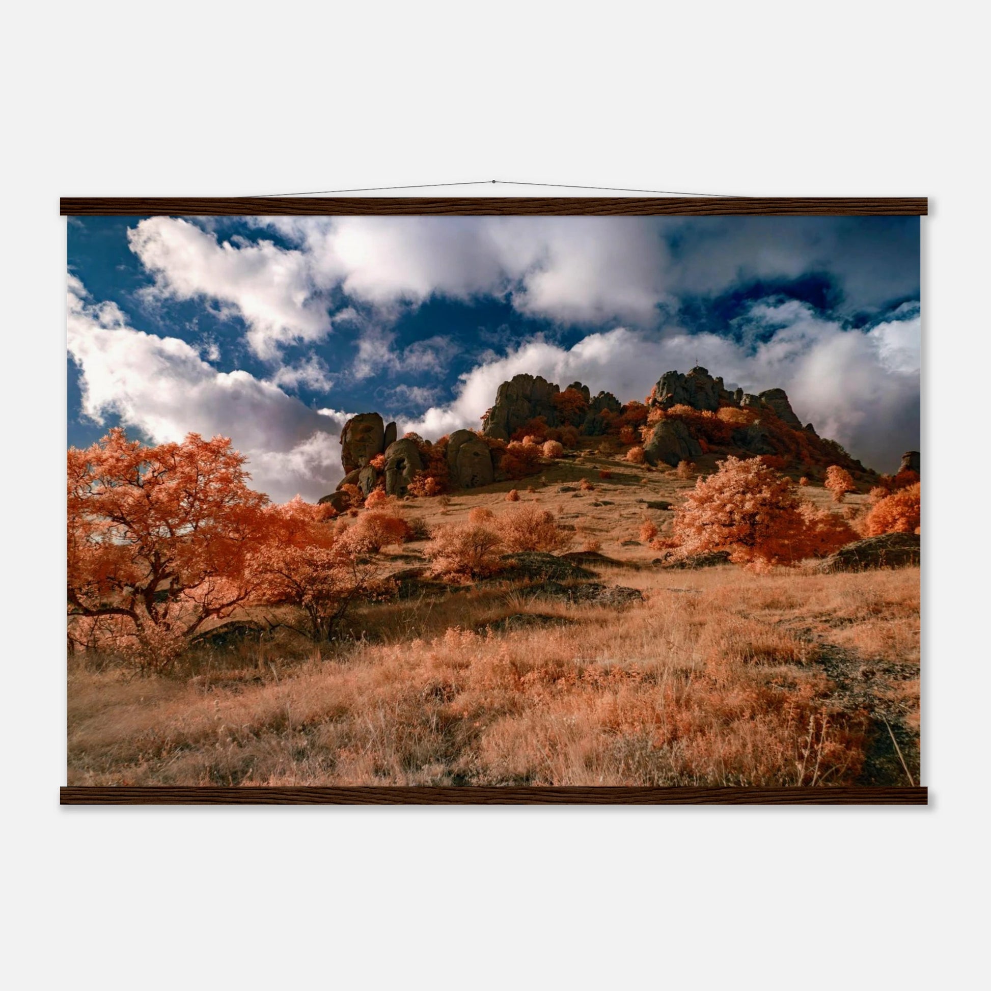 b480b673-a9cb-4cd6-9099-8d33ca8dcf2f