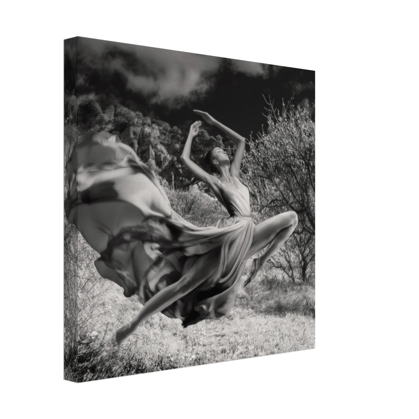 b54e251f-1482-436c-a9ca-2d67bd8fe807