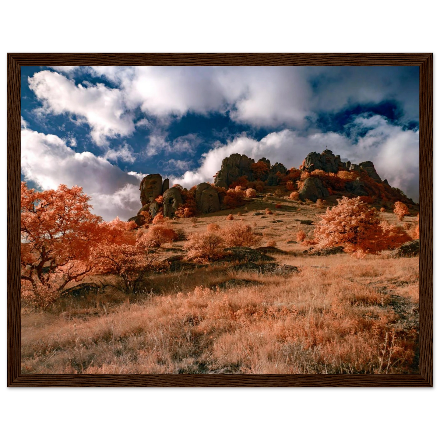 b793def2-72f0-42de-8289-808bab0c7d5e