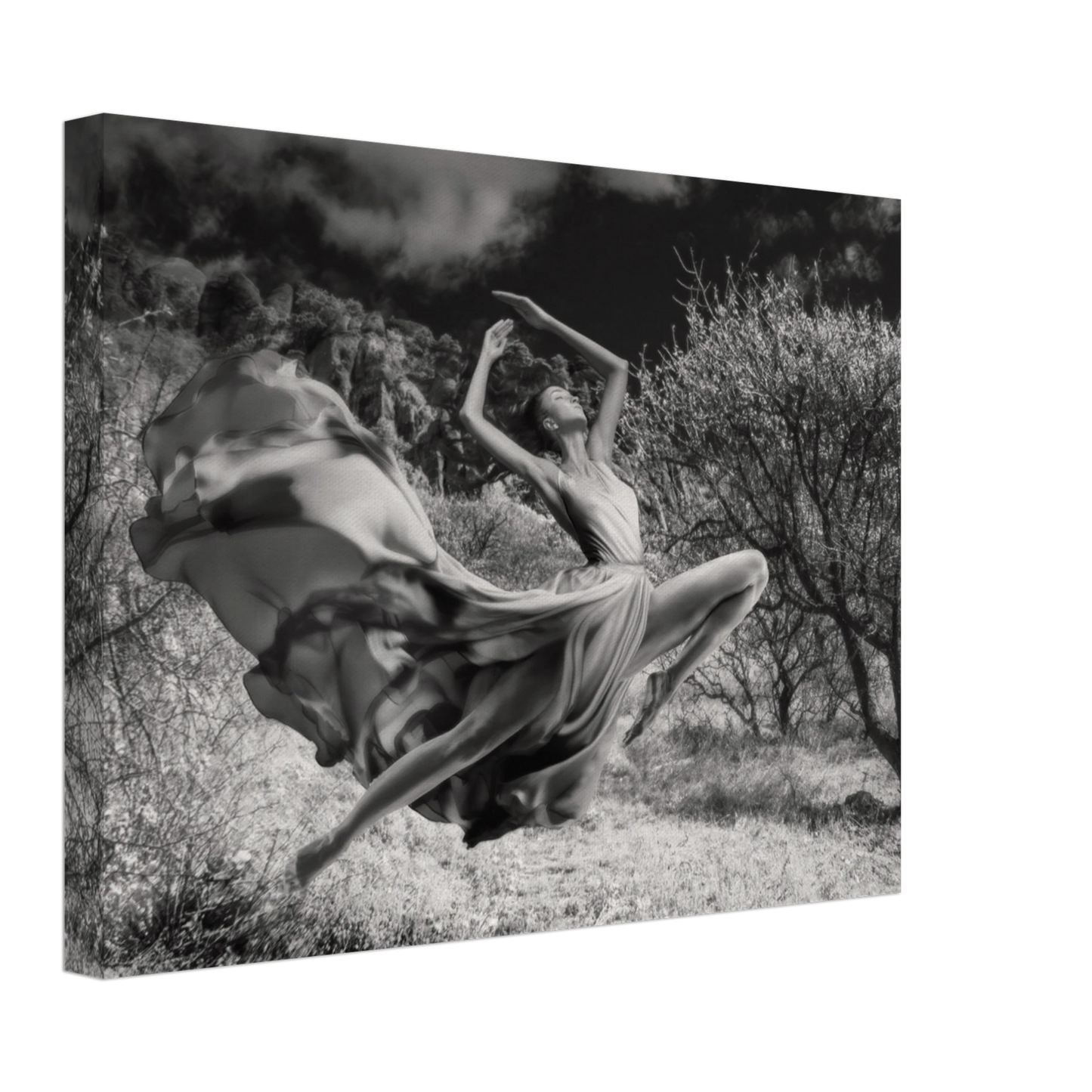 b7bde37e-33b8-4089-a00d-f4d437c21e13