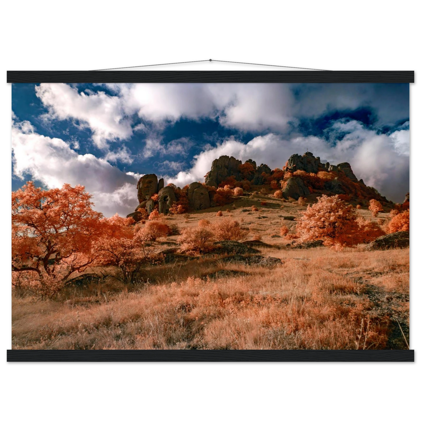 b81e9c1f-5e77-4301-a6f0-71f72cde6845