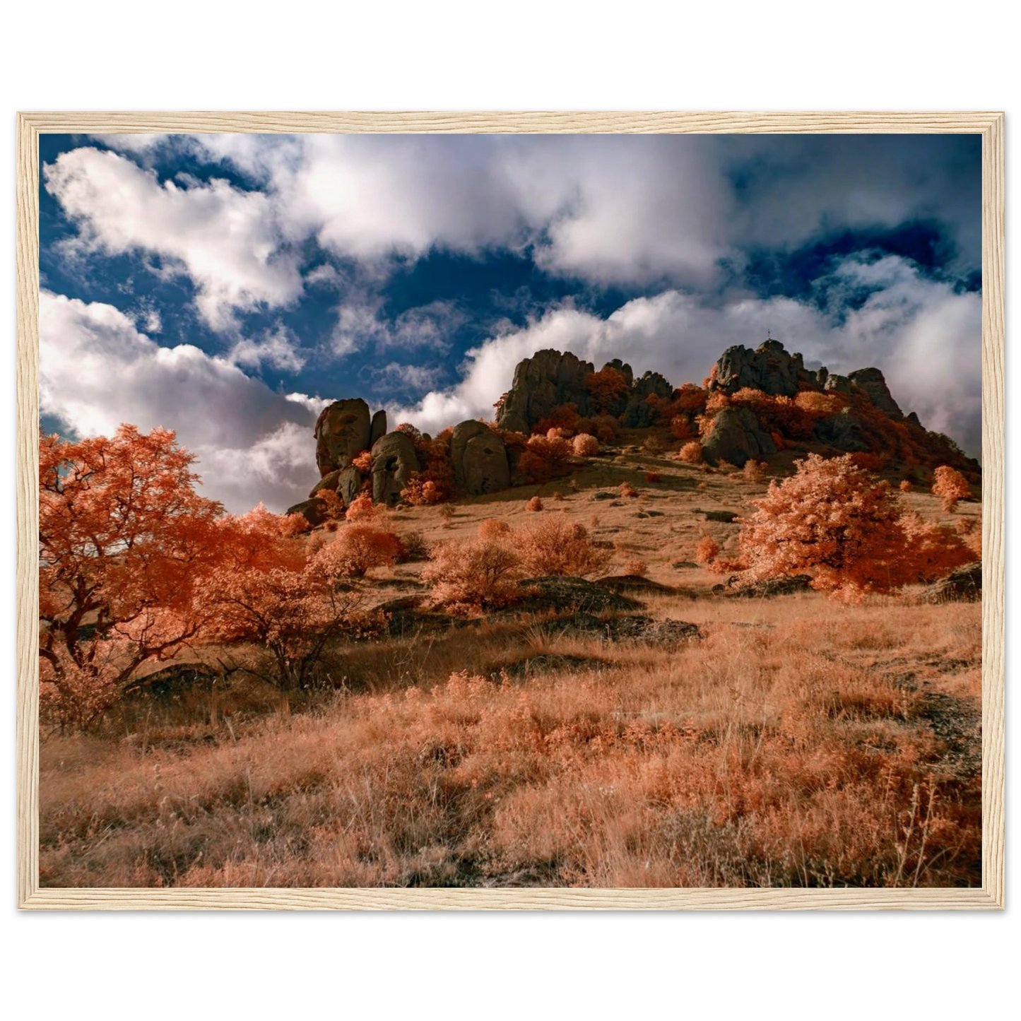 b92e5b8a-8664-4dc5-9e59-26d8e7284bb5