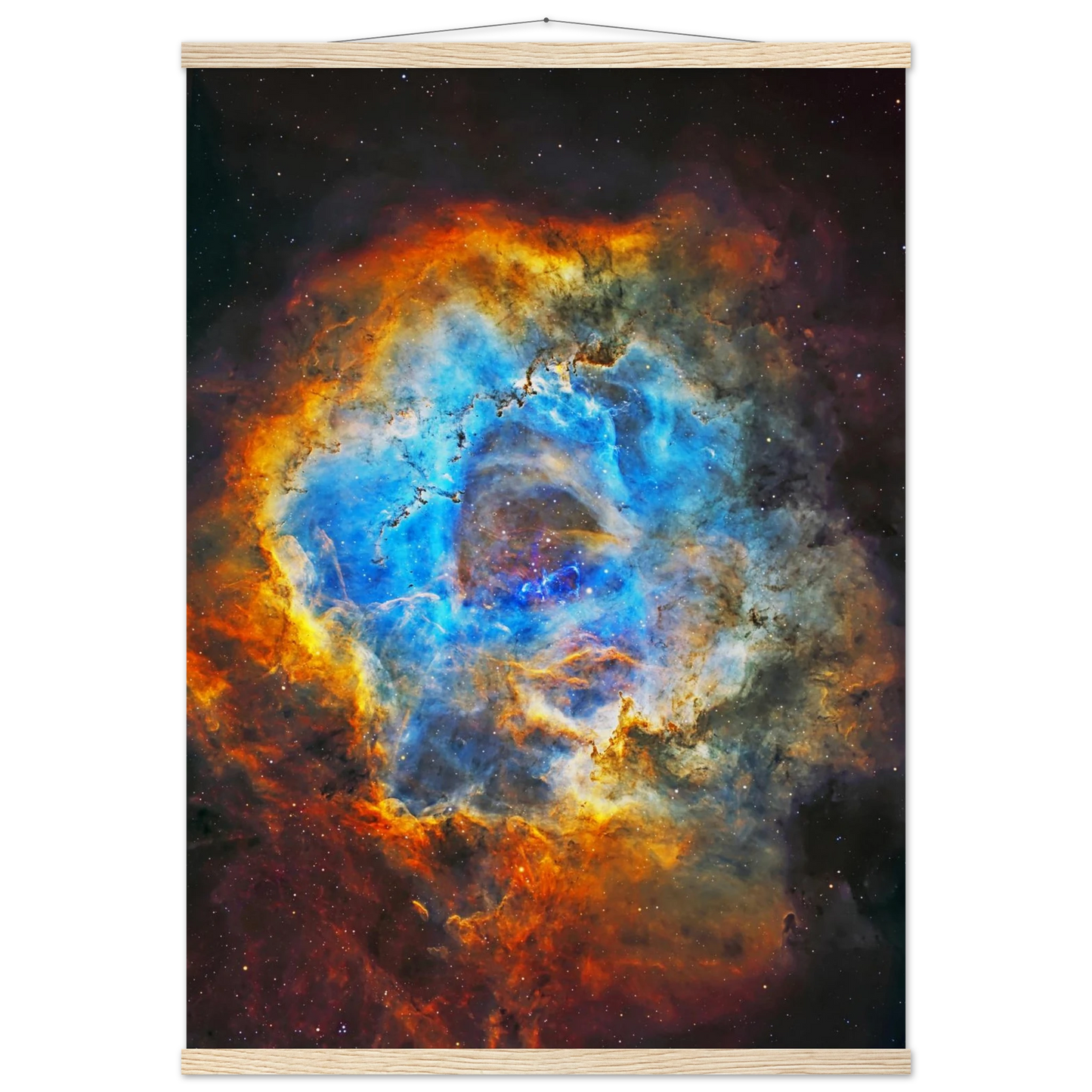 b9359a91-a0d3-472a-af88-e5068376f923