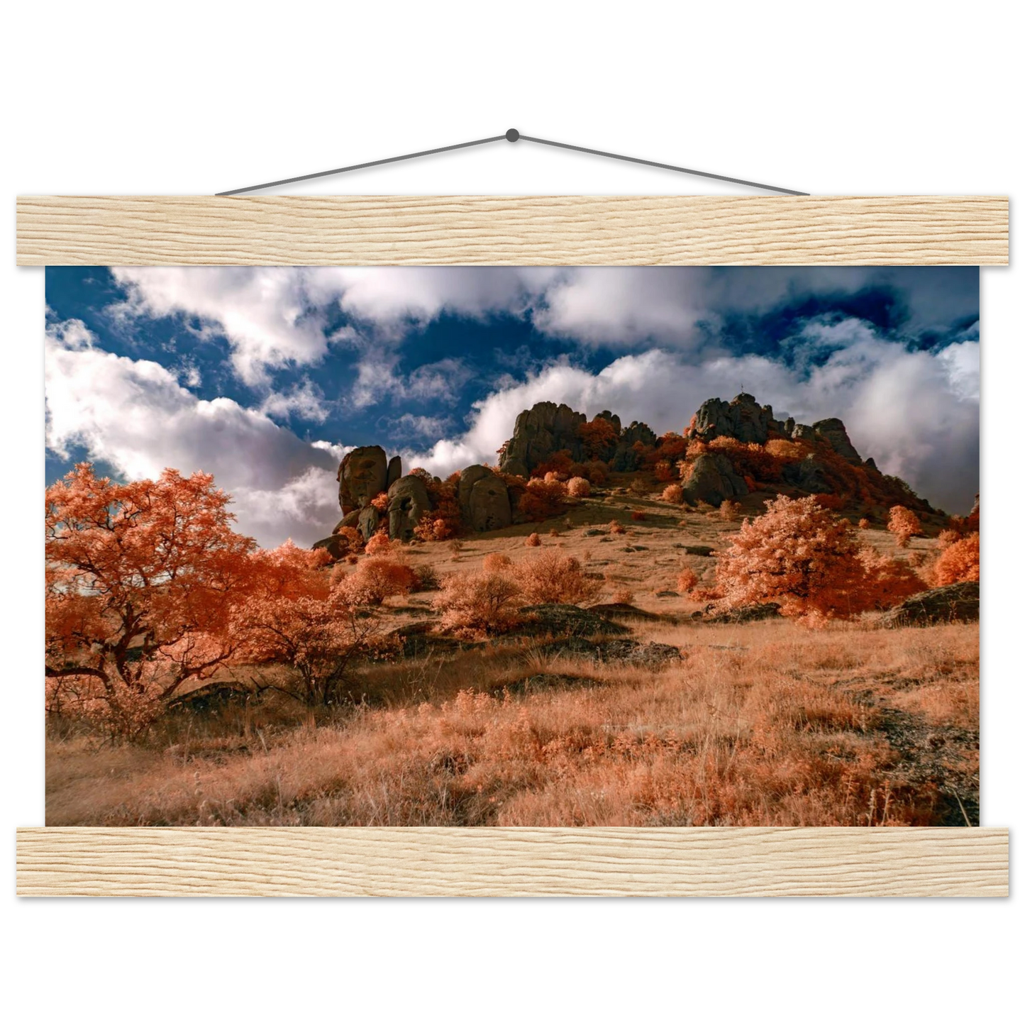 b9c63416-ff30-496e-9618-237342cd3596