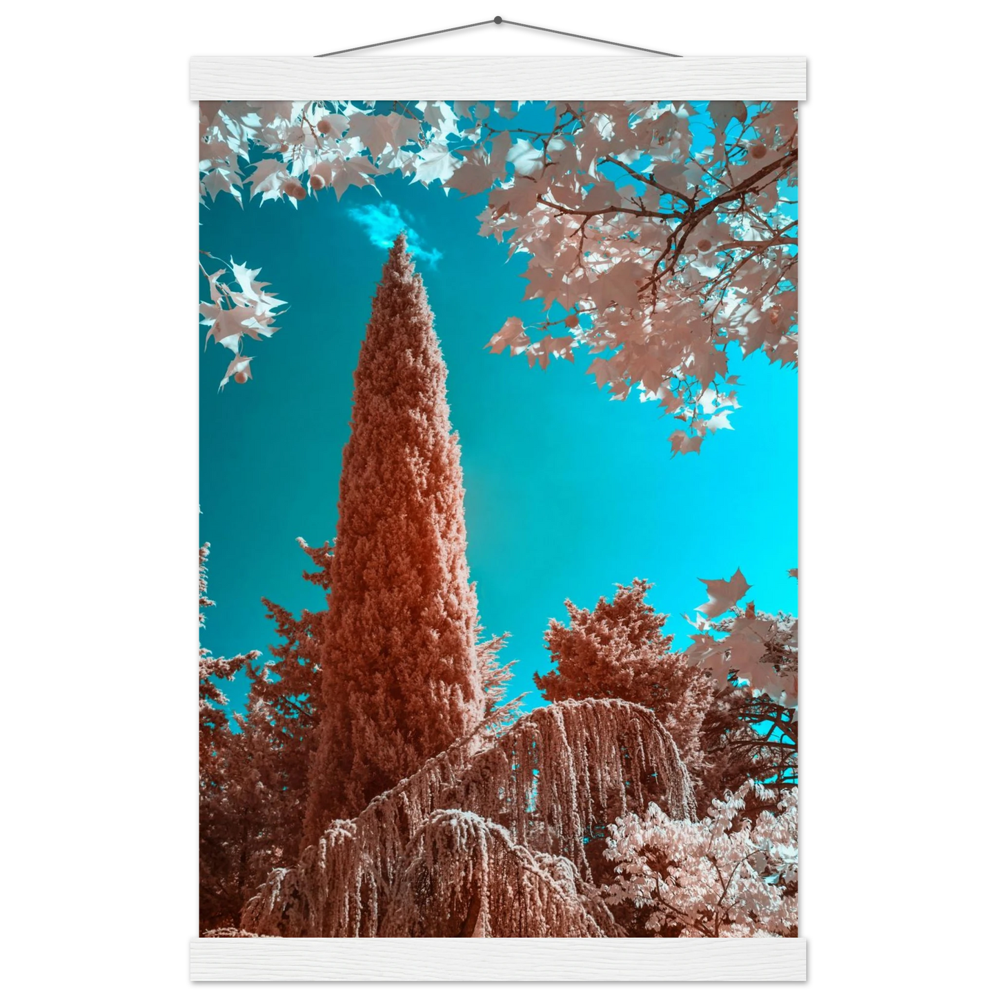 ba074da0-f221-4d9c-bd4d-c97a15fde0c6