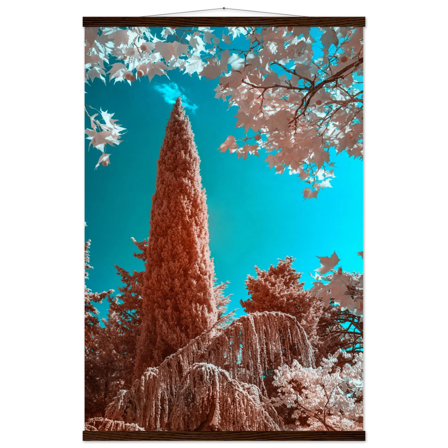 ba6916e0-db3e-44d4-ae3d-027e4b8c81c9