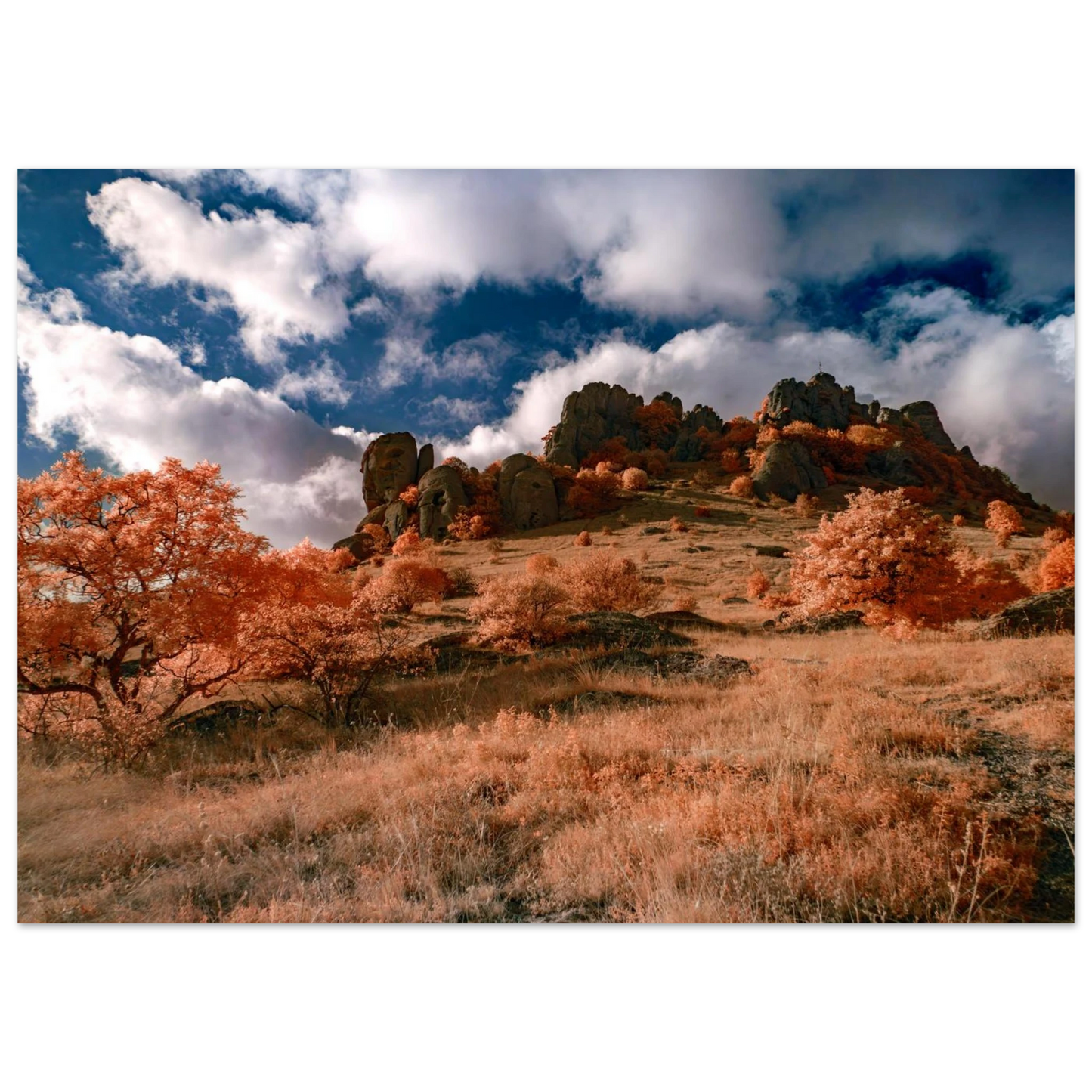 bed0053e-f772-4165-afdb-f3b9fb0f88c0