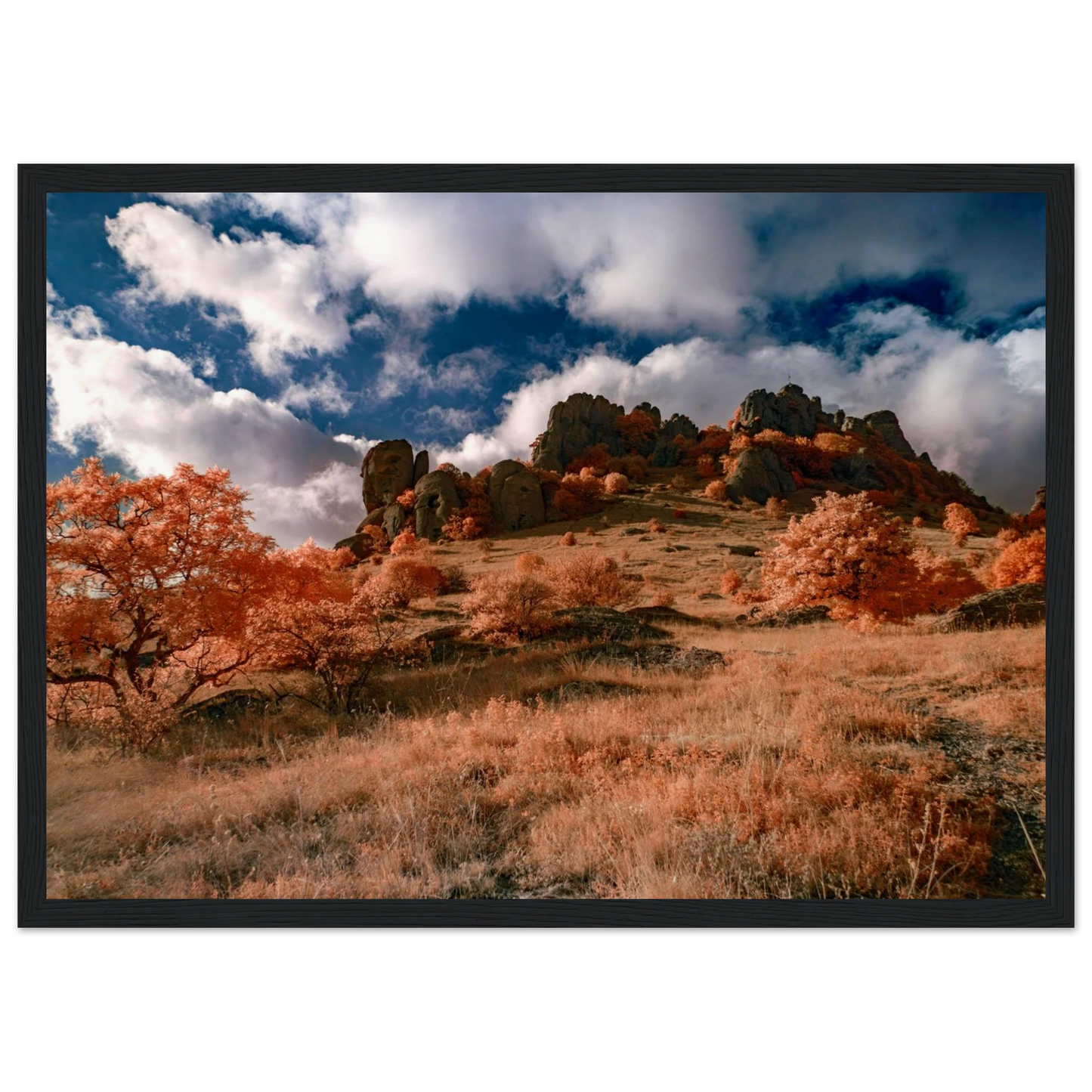 bed7284f-4e93-4c19-bbeb-7b768e2179dd