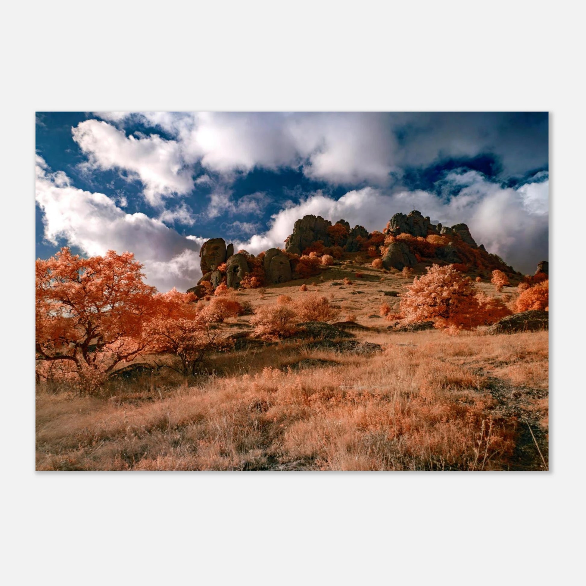 c06b99dc-0e1c-4023-897b-9d872dcec9a6