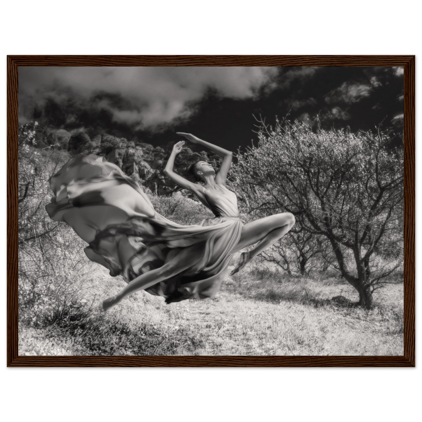 c0b5afe2-30fa-437f-a872-b8a79aa98352