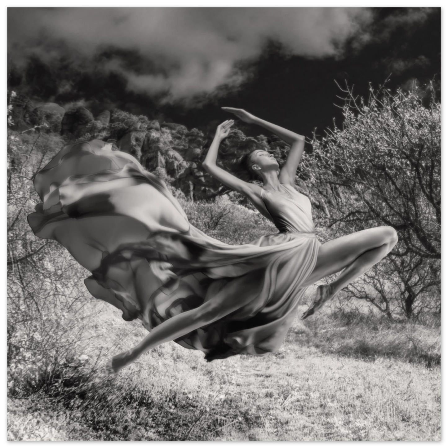 c1b56d4b-e2e1-47da-bb17-2d5d7e0c33e8