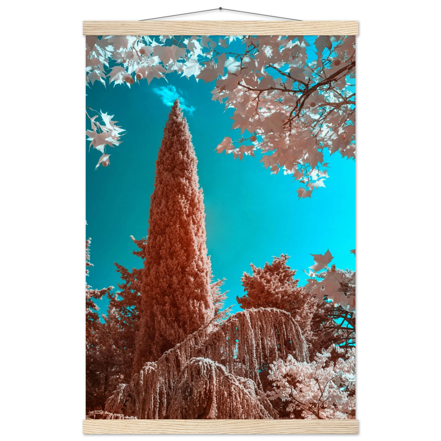 c2299752-beb6-48c9-a48b-bd3724da6e7c