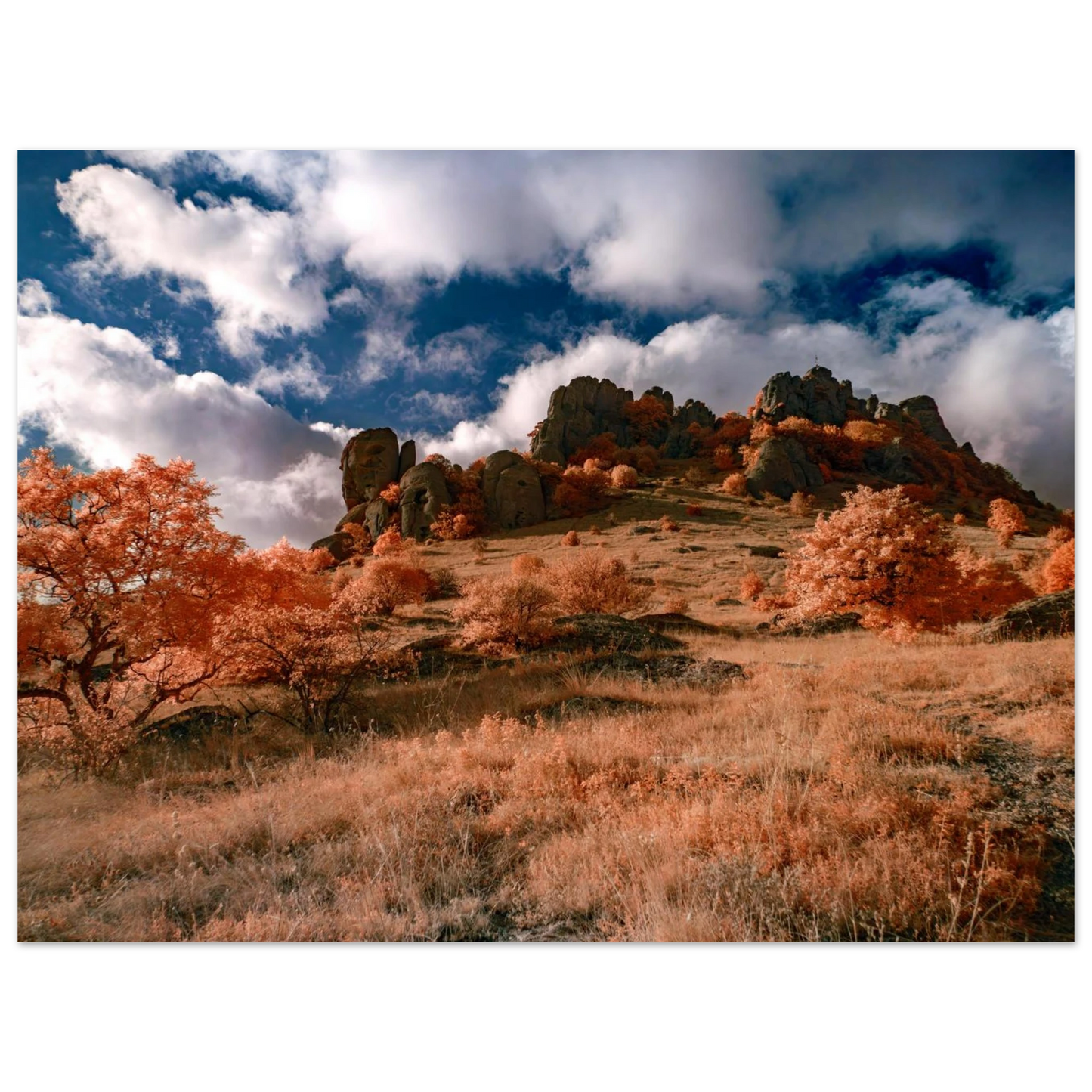 c3862bc2-3300-48c0-92c8-d98df42e28da