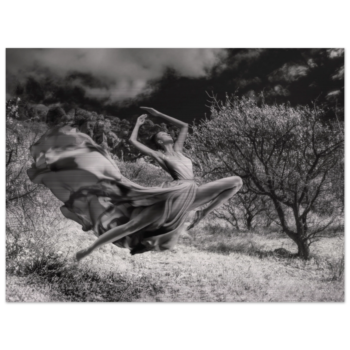 c480523d-b6aa-4b0f-86d8-1da02523d1a7